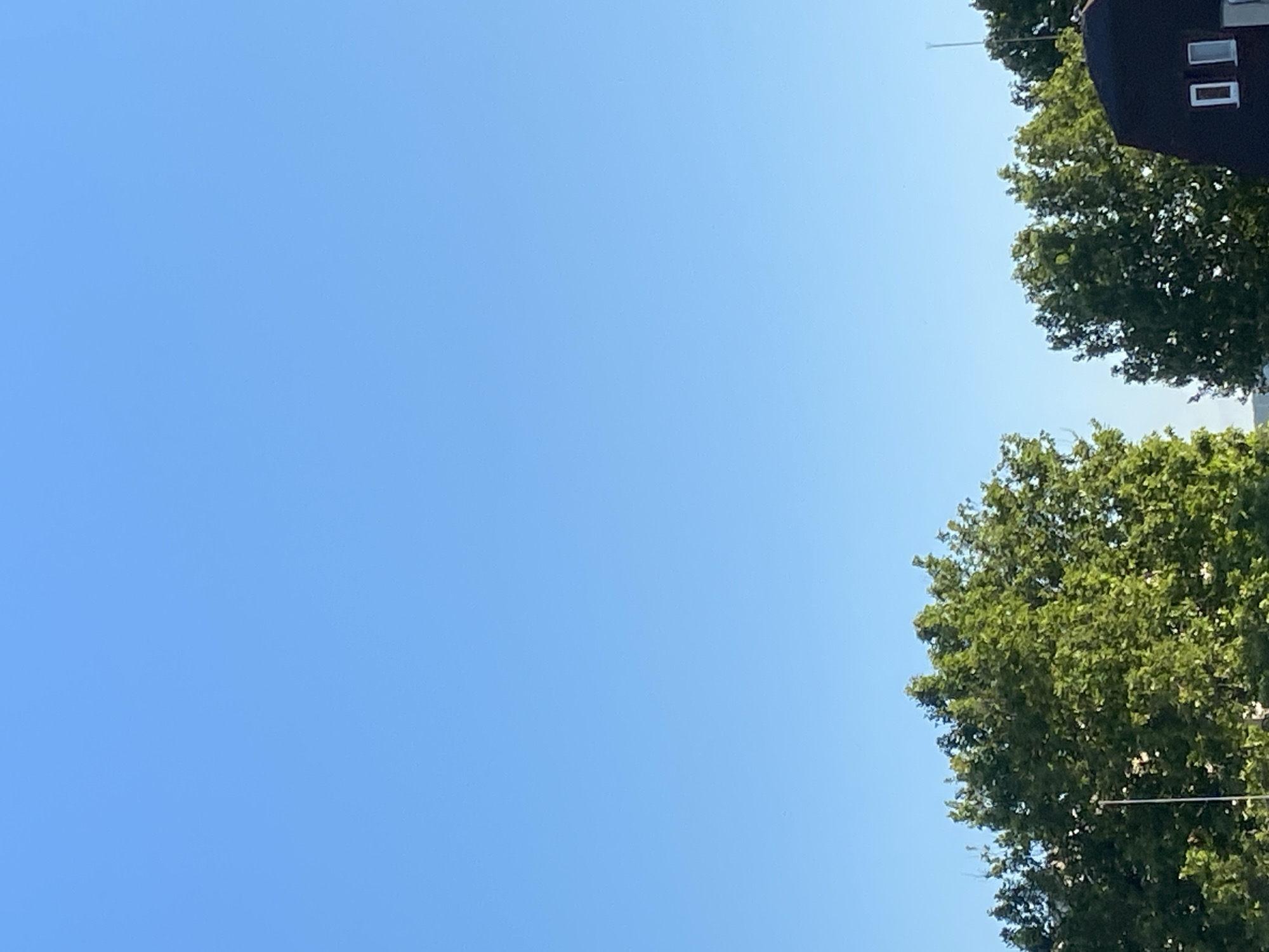 The image shows a clear blue sky above the tops of lush green trees. A dark-roofed building with two white rectangular windows is visible on the right side of the frame, partially obscured by the trees. The scene appears to be an outdoor setting, possibly in a residential area, with a focus on nature and a building. The location is specified as Varna, Bulgaria.