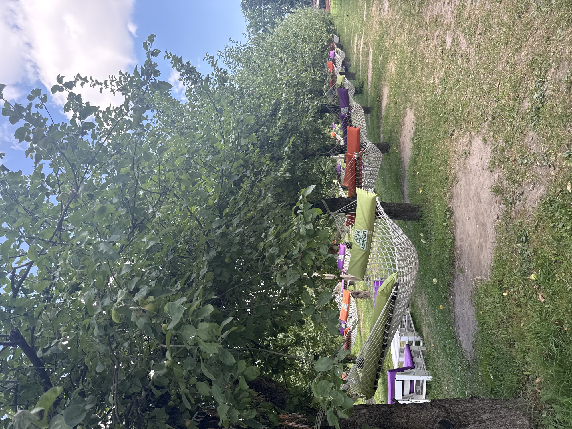 The image depicts an outdoor seating area with numerous hammocks strung between trees, creating a relaxed atmosphere. The scene is set in a park-like environment with a grassy ground and mature trees overhead, their leaves providing shade. Several hammocks are visible, each adorned with colorful cushions in shades of green, orange, and purple. In the foreground, a white wooden table and chairs with purple cushions are placed near a hammock. The hammocks are arranged in a row, suggesting a designated area for leisure. A clear blue sky with scattered clouds is visible above the trees. The location of this scene is in the city of Kyiv, Ukraine.