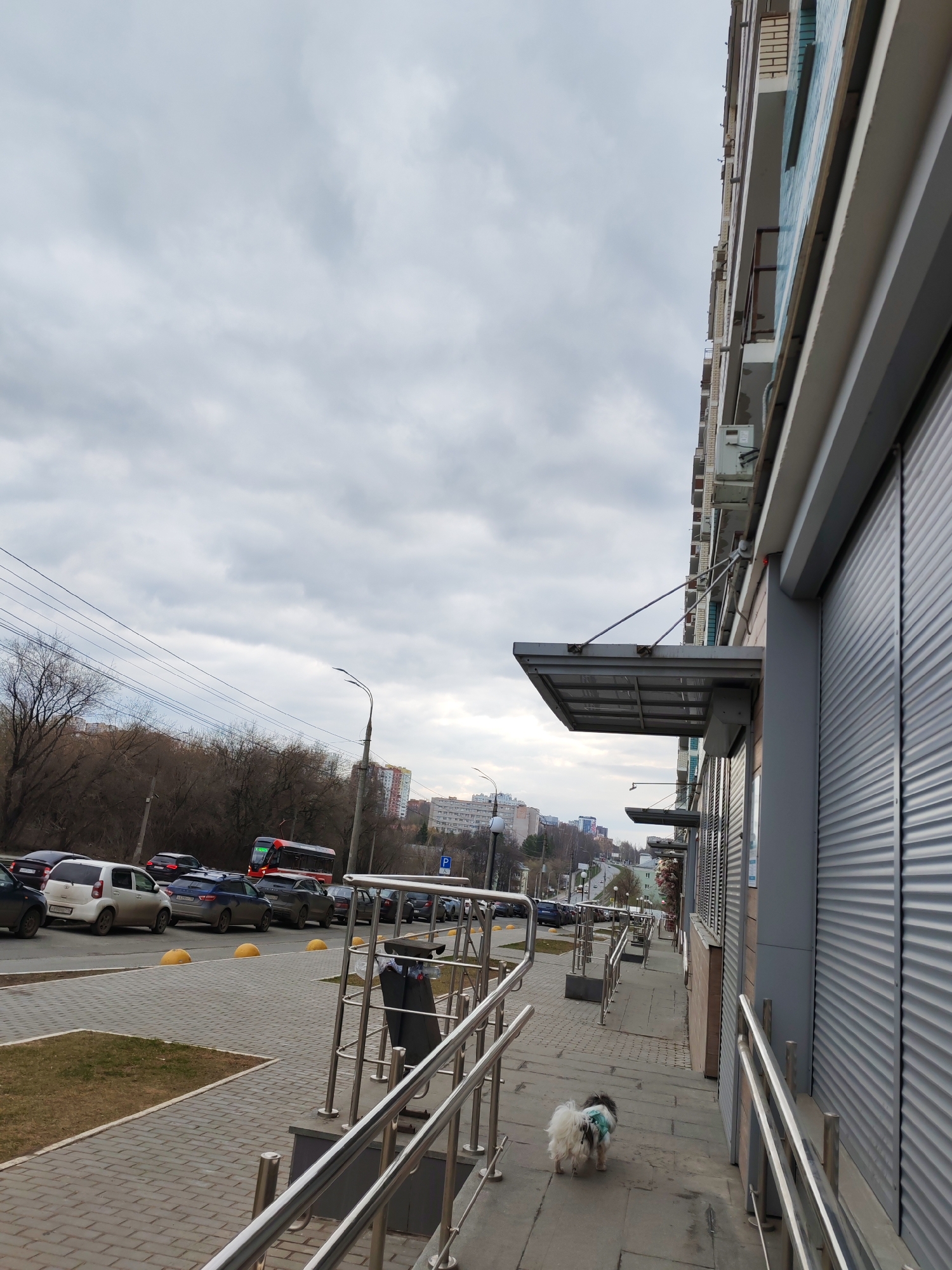 The image shows a street scene in Izhevsk, Russia, under an overcast sky. A sidewalk runs alongside a multi-story building with gray, corrugated metal siding and metal awnings. A small, fluffy dog wearing a blue garment walks along the sidewalk. A metal railing separates the sidewalk from the street, where cars are parked. Across the street, there is a row of trees and a bus can be seen. In the distance, other buildings are visible.