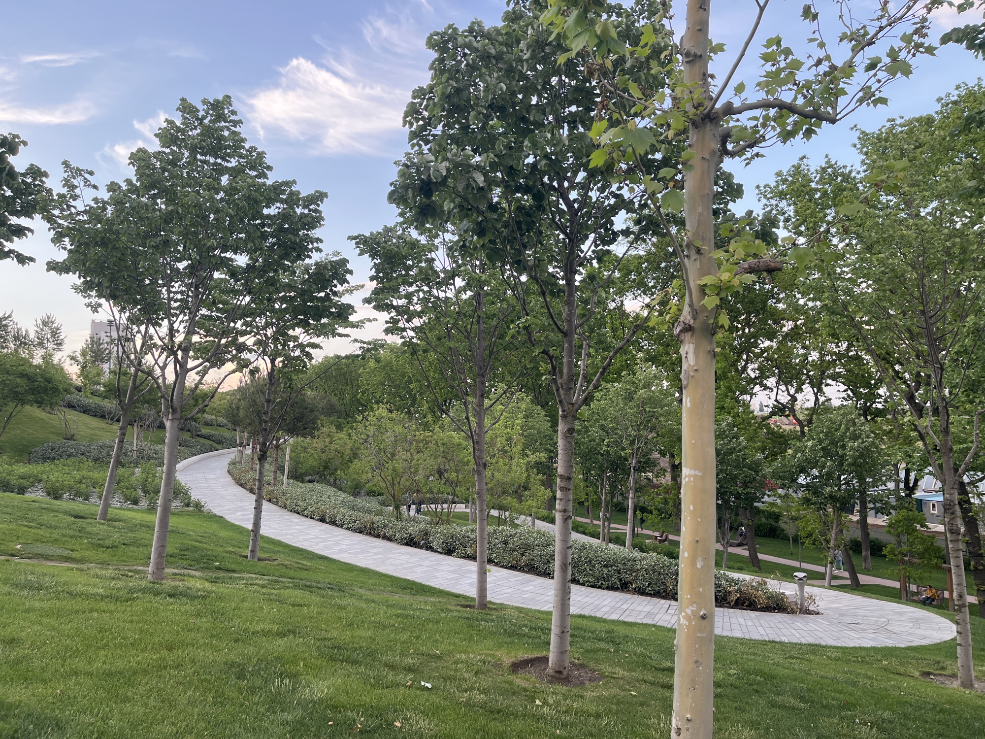 A winding paved path extends through a green park in Krasnodar, Russia, bordered by trees and landscaping. The sky above is partly cloudy. The scene is daytime, with no apparent people.