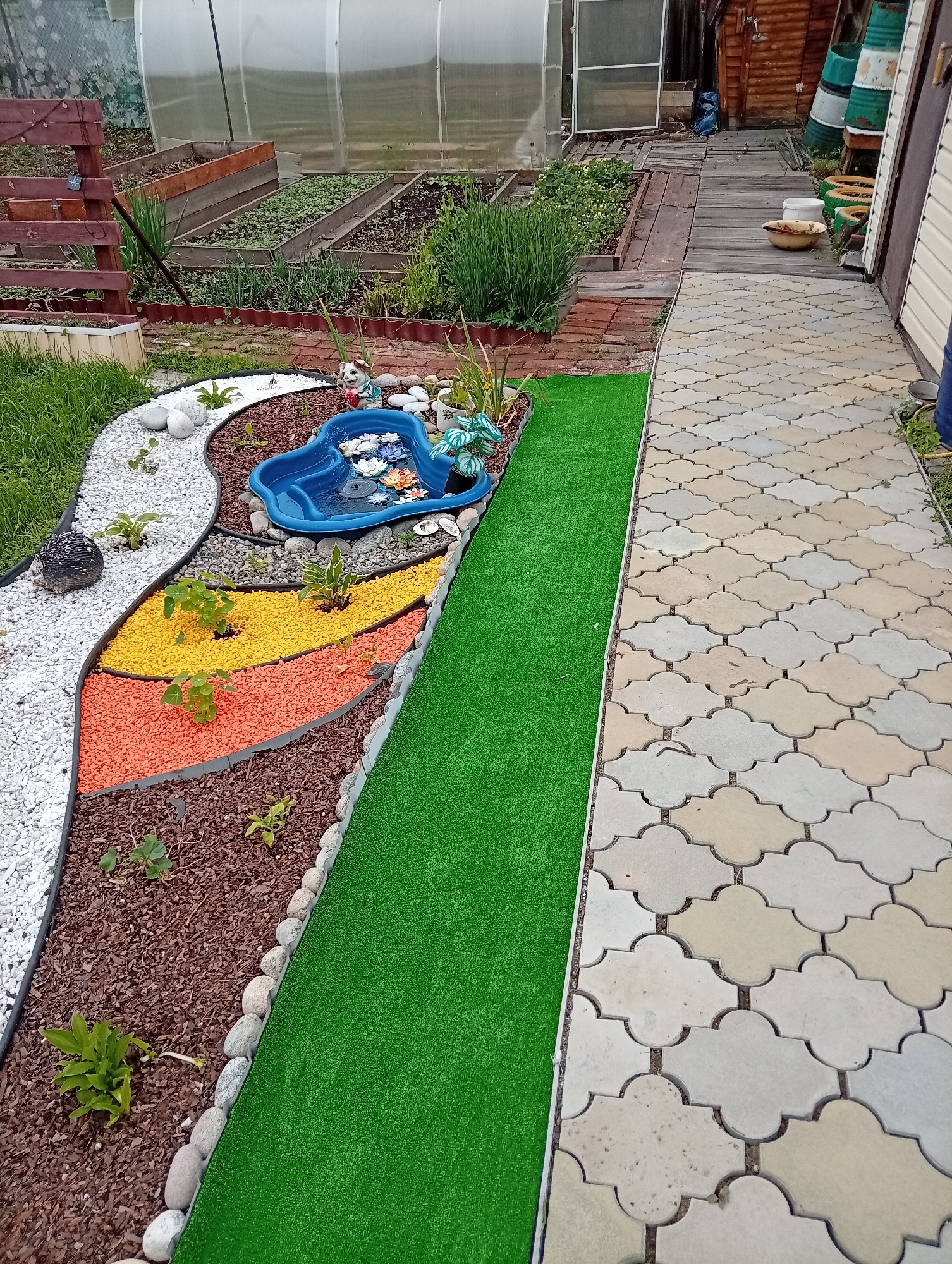 The image depicts a well-maintained backyard garden area. In the foreground, a decorative garden bed is arranged in curved sections. One section features white gravel with a small, gray, hedgehog-shaped garden ornament. Adjacent to this is a section filled with dark brown mulch containing small plants. Further along the curve are sections filled with bright orange gravel and yellow gravel, also with small plants. At the center of the curved garden bed is a small, blue, artificial pond with water, lily pads, and decorative flowers. A strip of vibrant green artificial turf runs alongside the decorative garden bed, separating it from a paved walkway. The walkway is constructed with interlocking, light-colored pavers in a quatrefoil pattern.
In the background, a large greenhouse with a transparent, ridged roof is visible, containing raised garden beds with various plants. To the right of the greenhouse, a wooden structure, possibly a shed or outbuilding, is present. There are also several large, green and white cylindrical barrels stacked near the wooden structure. The overall environment appears to be a residential backyard in a suburban or rural setting.
The location is specified as Shelekhov, Russia. This implies a climate that experiences distinct seasons, and the presence of a greenhouse suggests an effort to extend the growing season for plants. The garden design utilizes decorative gravel and artificial turf, suggesting a focus on aesthetic appeal and potentially low maintenance. The scene is static, with no people or animals actively engaged in any interaction. The lighting suggests it is daytime, with diffused light, possibly indicating an overcast sky.