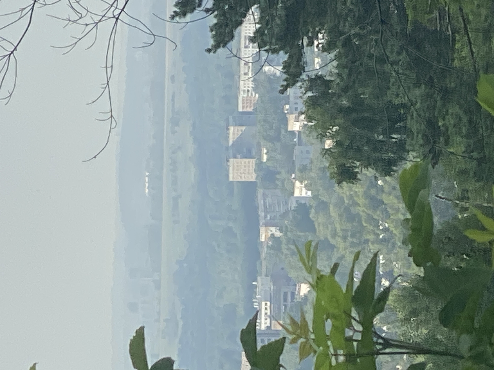 The image shows a hazy, panoramic view of a city and its surrounding landscape, likely taken from an elevated position. In the foreground, there are blurred green leaves and branches of trees. In the middle ground, the city's architecture is visible, characterized by multi-story apartment buildings with beige and white facades. These buildings appear to be part of a residential area, nestled among lush green trees and rolling hills. The background reveals a vast expanse of misty, rolling hills and possibly farmland, fading into the horizon. The overall atmosphere is serene and somewhat distant due to the atmospheric haze. The architecture suggests a Soviet-era or post-Soviet urban development, common in cities like Novokuznetsk, Russia, known for its industrial past and sprawling residential districts. The scene depicts a juxtaposition of urban structures with the natural environment.