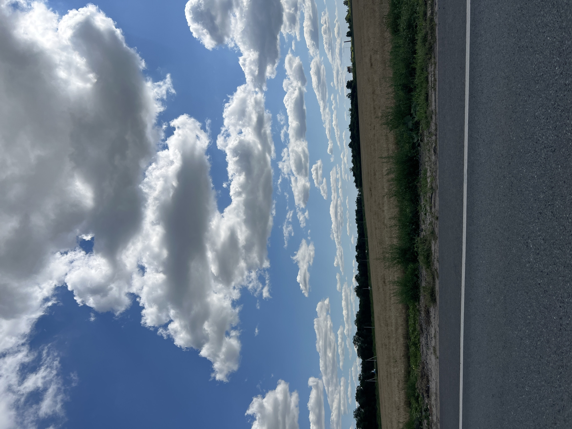 The image depicts a rural landscape under a bright blue sky filled with fluffy white and gray clouds. In the foreground, a section of asphalt road with a white line marking is visible. Behind the road, a field of dry, golden grass stretches across the middle ground. A line of dark green trees forms a boundary at the far edge of the field. The scene is devoid of people or any discernible activity. It is not possible to determine the specific location within the city of Ulyanovsk, Russia from the image provided.