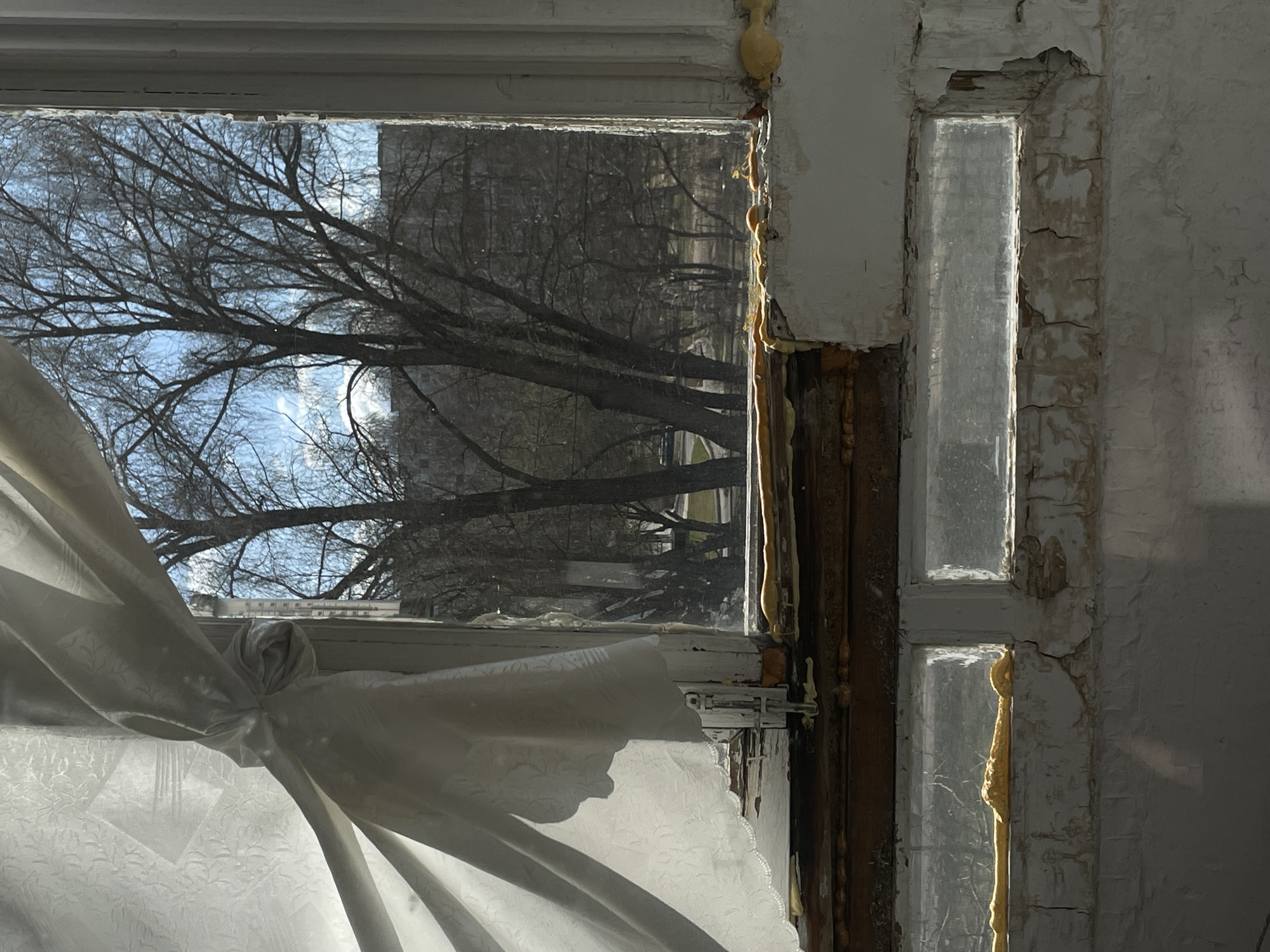 A fragmented window pane, partially obscured by a white, tied-back curtain, reveals an external view of bare trees and a nondescript building, suggesting an urban setting in an unidentified city. The window frame itself displays signs of disrepair, with peeling paint, deteriorating wood, and applied sealant, indicative of age and lack of maintenance.