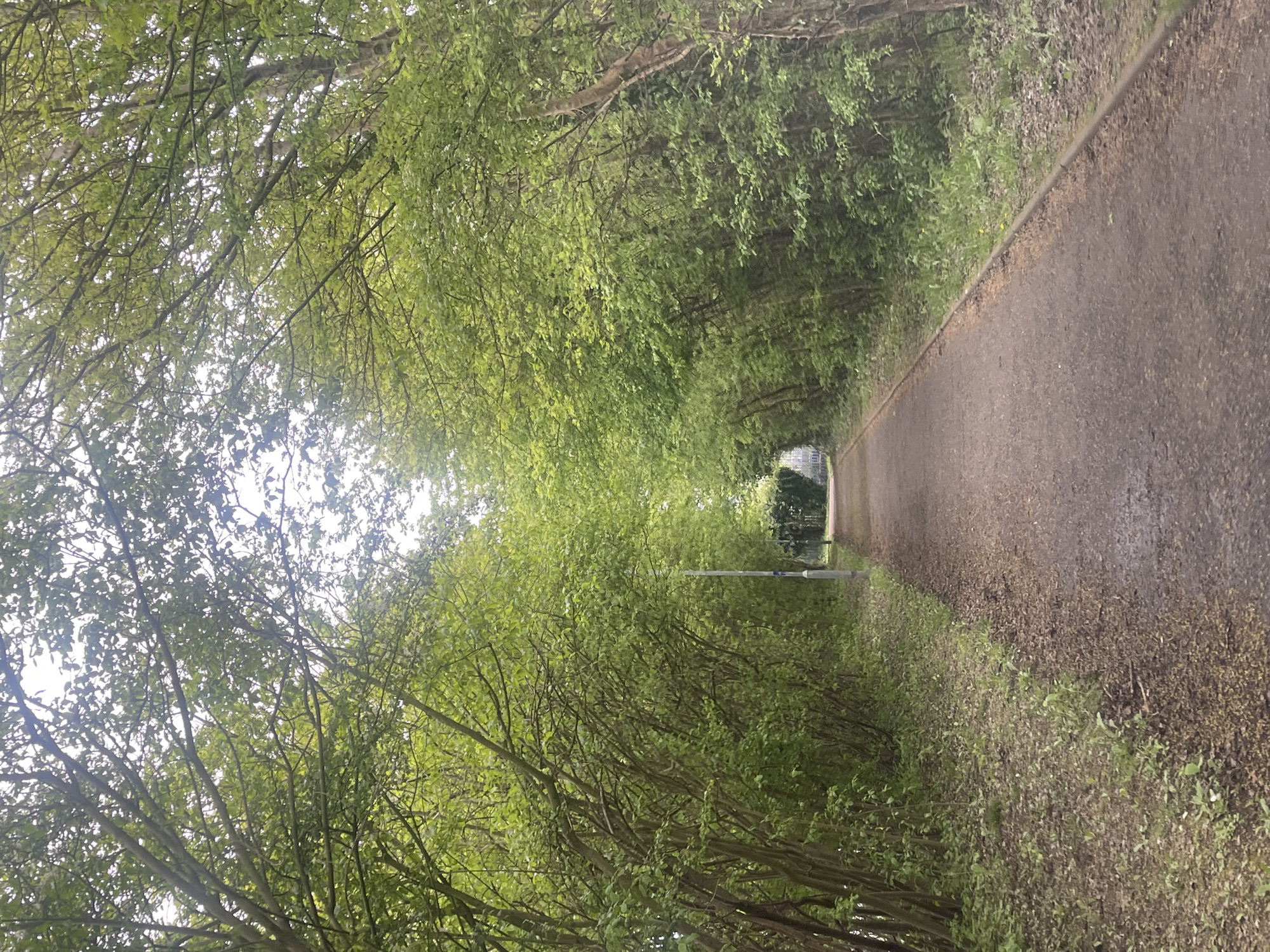 This image presents a serene, tree-lined pathway, likely a walking or cycling route, situated in Portsmouth, United Kingdom. The perspective looks directly down the path, which stretches into the distance, framed by a dense canopy of lush green foliage.
The dominant feature is the verdant archway formed by the trees, creating a natural tunnel effect. The leaves are a vibrant, fresh green, suggesting either spring or early summer. Bright, diffused light filters through the overhead branches, indicating a daytime scene, possibly under an overcast sky or during the soft light of morning or late afternoon, as there are no strong, defined shadows.
The path itself appears to be made of dark grey or brown asphalt or compacted gravel, showing some wear. It is bordered on the right by a low, dark curb or edge, separating it from the overgrown verges where smaller plants and fallen leaves are visible. In the middle distance, a tall, slender lamppost stands vertically beside the path, hinting at the path's maintenance and potential use after dark. Beyond the lamppost, the path continues to recede and appears to curve gently to the right, with a blurry structure or opening faintly visible at the very end.
No people or specific activities are depicted, giving the scene a peaceful and secluded atmosphere. The abundant greenery and natural light evoke a sense of calm and escape. There is no visible text in the image.
