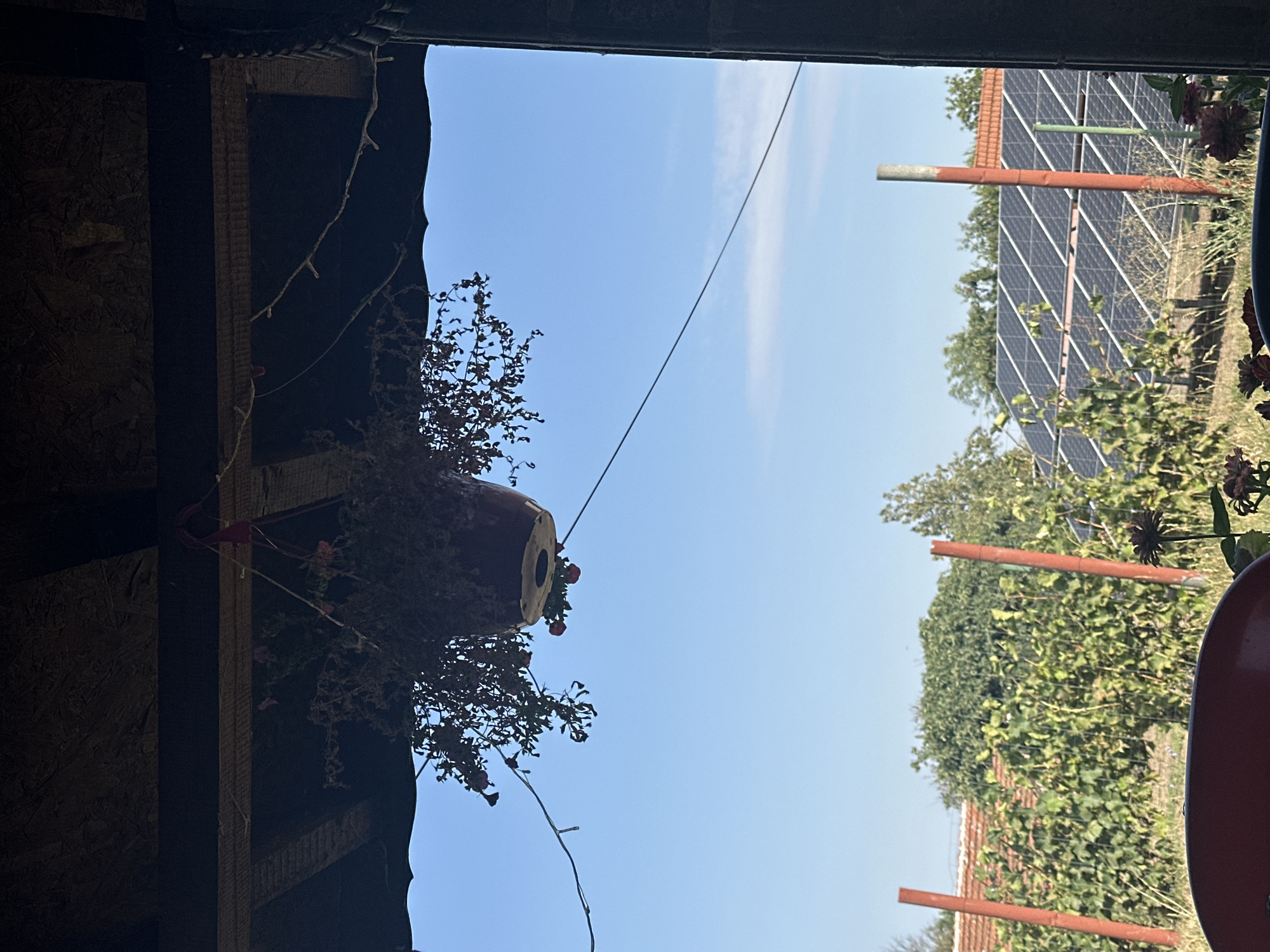 The image depicts an outdoor scene, possibly a backyard or garden area, under a clear blue sky. A red hanging flower pot with wilting plants is suspended from a wooden beam overhead. Below this, a vineyard or trellised garden with green foliage is visible, bordered by red-painted posts. In the background, a house with a red-tiled roof and a solar panel array are present. The foreground shows a portion of a red object, possibly furniture, and some dark flowers. The setting appears to be a rural environment. The location is identified as Galiche, Bulgaria.