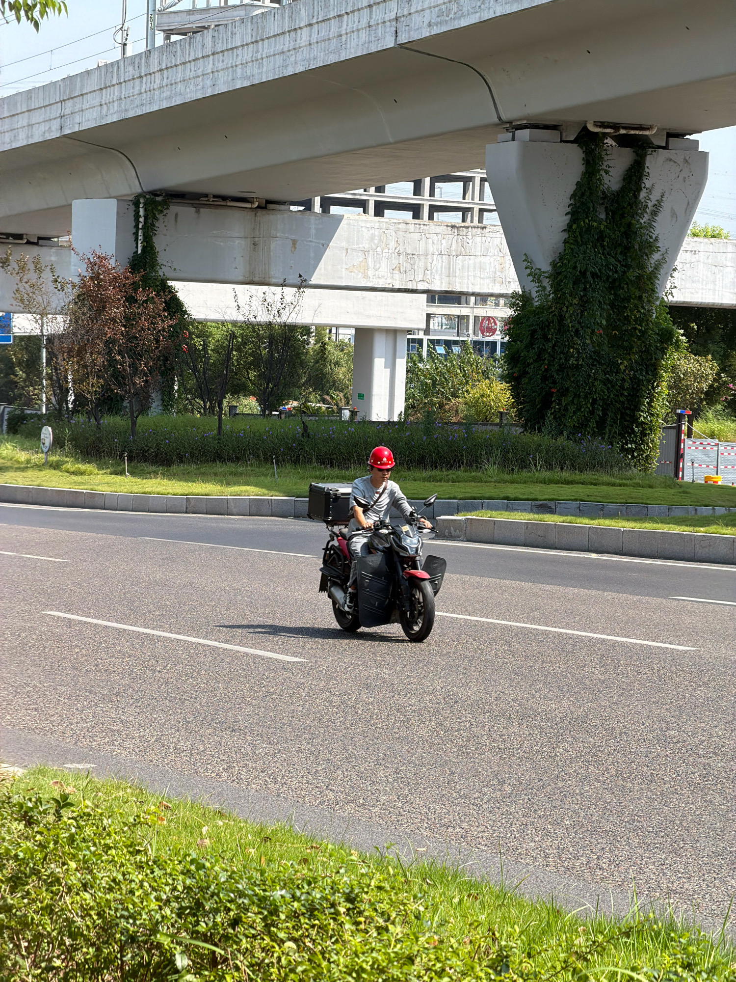 A man wearing a red helmet rides a black electric scooter with a large black box mounted behind him. He is on an asphalt road with white lane markings. The road is bordered by a grassy median and a sidewalk with green bushes. In the background, a concrete overpass supported by pillars covered in ivy stretches across the scene. Buildings and trees are visible behind the overpass. The environment appears to be a sunny day in an urban or suburban area of Jiangjin, China.