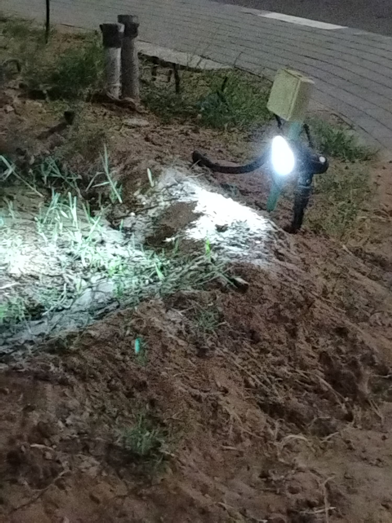 The image depicts a ground-mounted outdoor light fixture illuminating a patch of dirt and grass near a paved area. The light fixture consists of a cube-shaped solar panel on top, a curved neck, and a light source pointing downward. The ground appears to be freshly disturbed, with sparse grass and dirt clods visible. Two cylindrical posts are visible in the background. The location is inferred to be in Al Mas'oudi, United Arab Emirates, based on the query's reference to the city. The time is night. There are no people in the image.