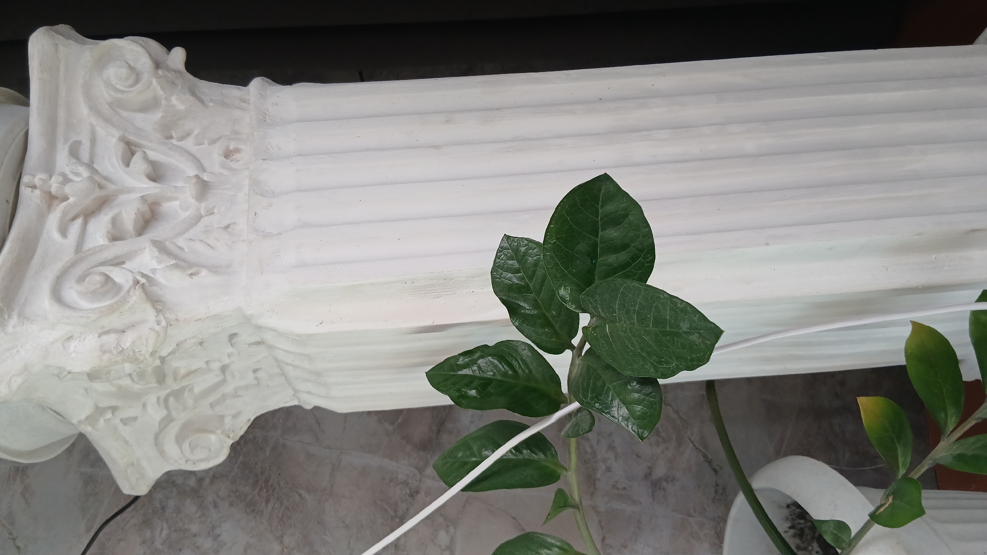 The image shows a close-up of a ZZ plant with vibrant green leaves. The plant is positioned in front of a white, ornately decorated column or pillar section. The background consists of a tiled floor and a dark upper area, potentially a ceiling or wall. There is also a white cord extending across the scene near the plant. Location is Unknown, Unknown.
