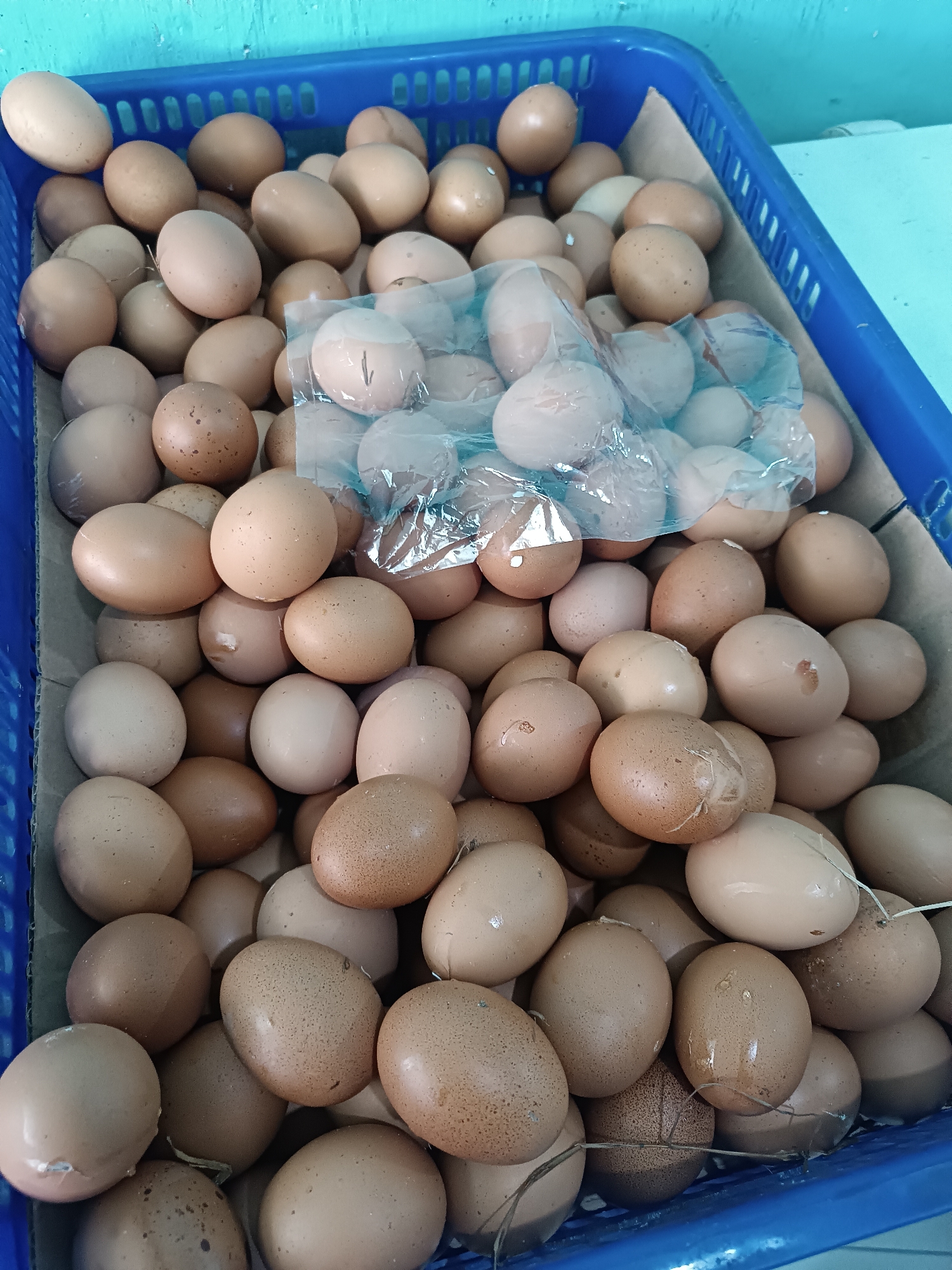 A close-up, overhead shot captures a large quantity of brown and white eggs nestled within a blue plastic basket. The eggs are of varying shades of brown, with some exhibiting speckles. A portion of the eggs are partially covered by a clear plastic film, suggesting they may have been packaged or preserved. The basket itself is a deep blue and appears to be filled to capacity, with eggs stacked and overlapping. The background is a plain, light blue surface. The scene is devoid of any human presence or activity, presenting a still life composition focused entirely on the collection of eggs.