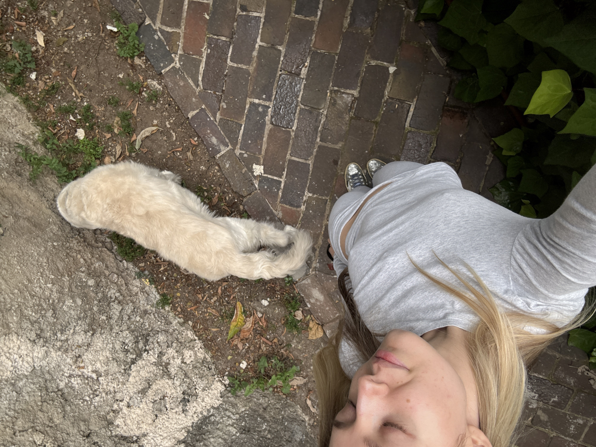 An overhead shot depicts a light-skinned woman in a gray top and silver sneakers standing on a brick and stone pathway alongside a small, light-colored dog. The pathway is bordered by a concrete wall on one side, and greenery on the other. The setting appears to be outdoors. The exact location in Mexico City, Mexico is not discernible from the provided information.