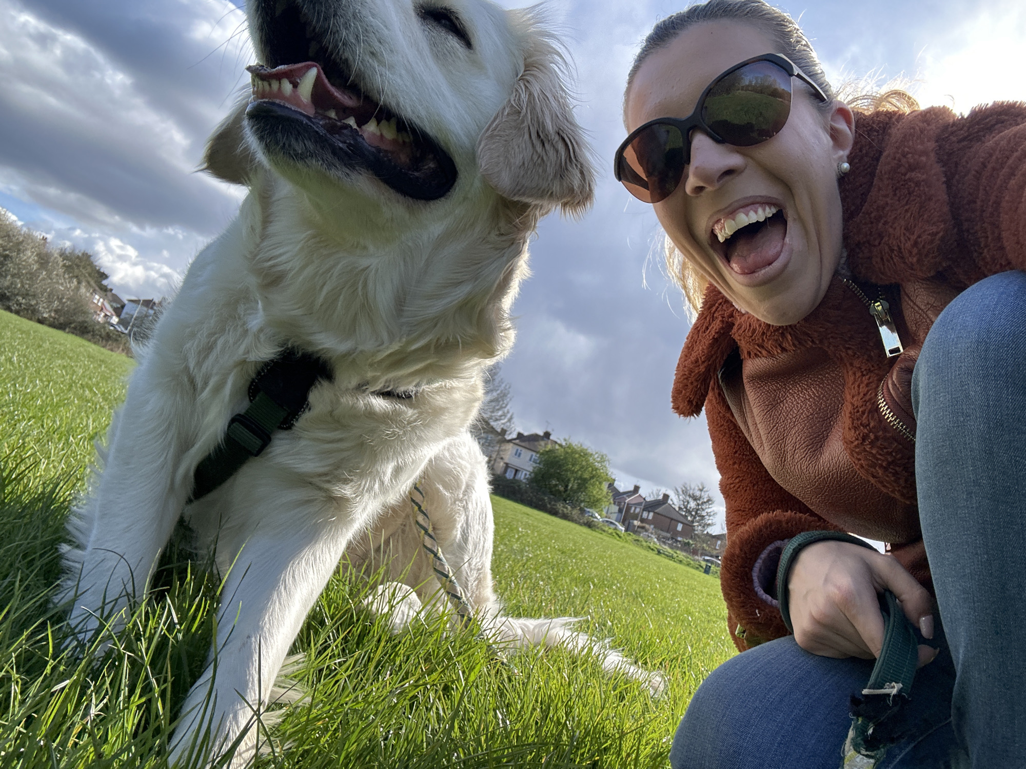 A low-angle, wide-angle photograph depicts a light-colored Golden Retriever dog and a woman in a bright green grassy park in a residential area of London, United Kingdom.
The dog, with cream-colored fur, is positioned on the left, wearing a dark green harness. Its mouth is wide open, revealing prominent canines, molars, and its tongue, suggesting panting or an expressive vocalization. Its head is tilted upwards and backward, facing the camera.
To the right, a woman crouches low to the ground. She wears dark sunglasses, a textured brown jacket with a prominent silver zipper, and light blue jeans. Her hair is pulled back, and her mouth is open wide, displaying her teeth and tongue, indicative of laughter or a shout. Her right hand is visible, gripping a dark green leash, which is attached to the dog's harness.
The immediate foreground consists of vibrant, well-lit green grass. A gentle grassy slope rises behind the subjects. In the background, a cluster of residential houses with multiple stories and various rooflines is visible on the horizon, interspersed with trees, some deciduous and bare, others showing early foliage. The sky above is partly cloudy with clear patches, and bright sunlight illuminates the scene from a high angle, casting shadows and creating strong highlights.