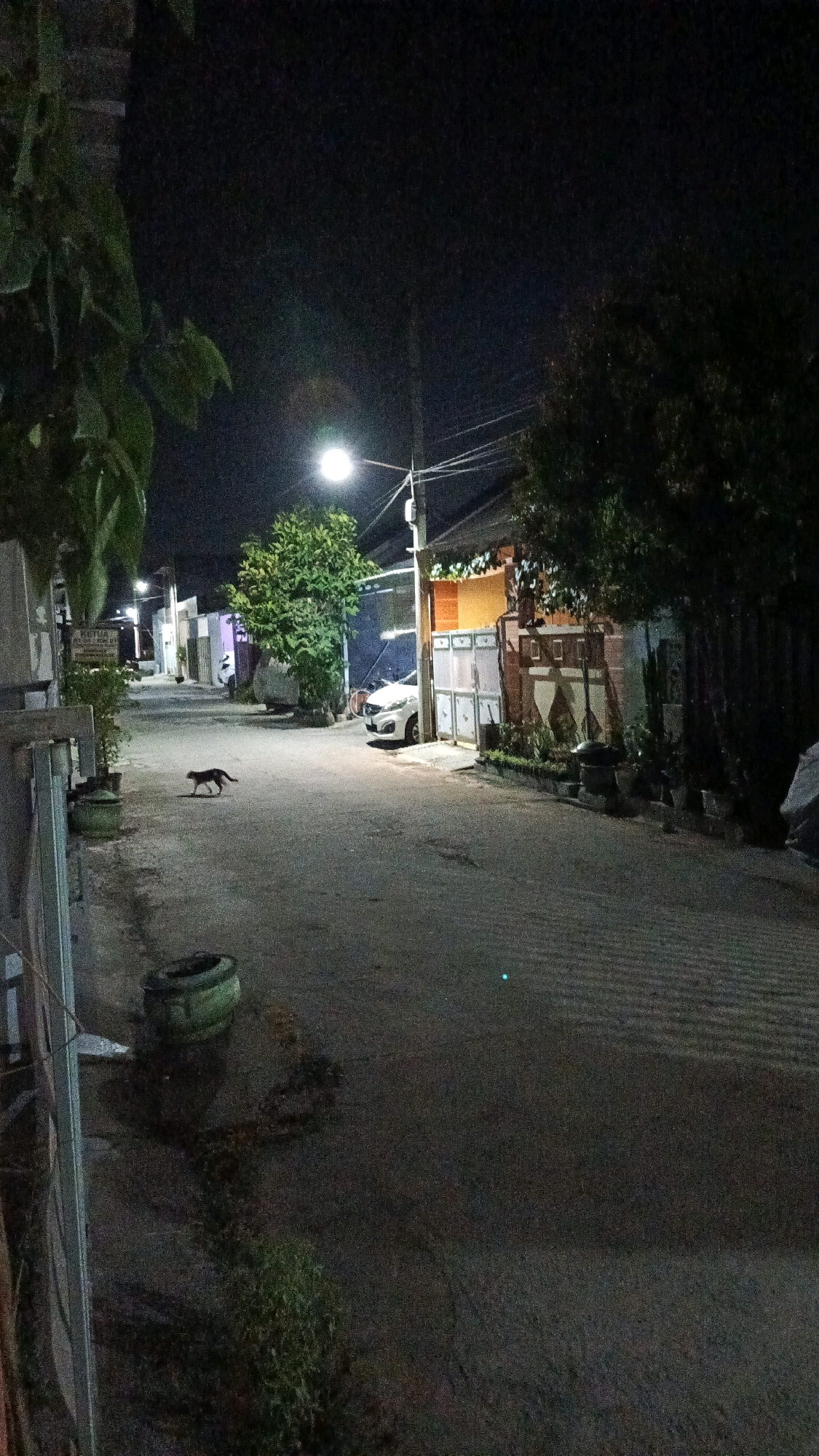 In the city of Babadan, Indonesia, a black cat walks across a street at night. The street is lit by a single streetlamp and the headlights of a parked white car. Buildings and trees line the street, some with visible lights on. The scene appears to be a residential area, with a fence visible on the left side of the image. A discarded tire is on the side of the road in the foreground.