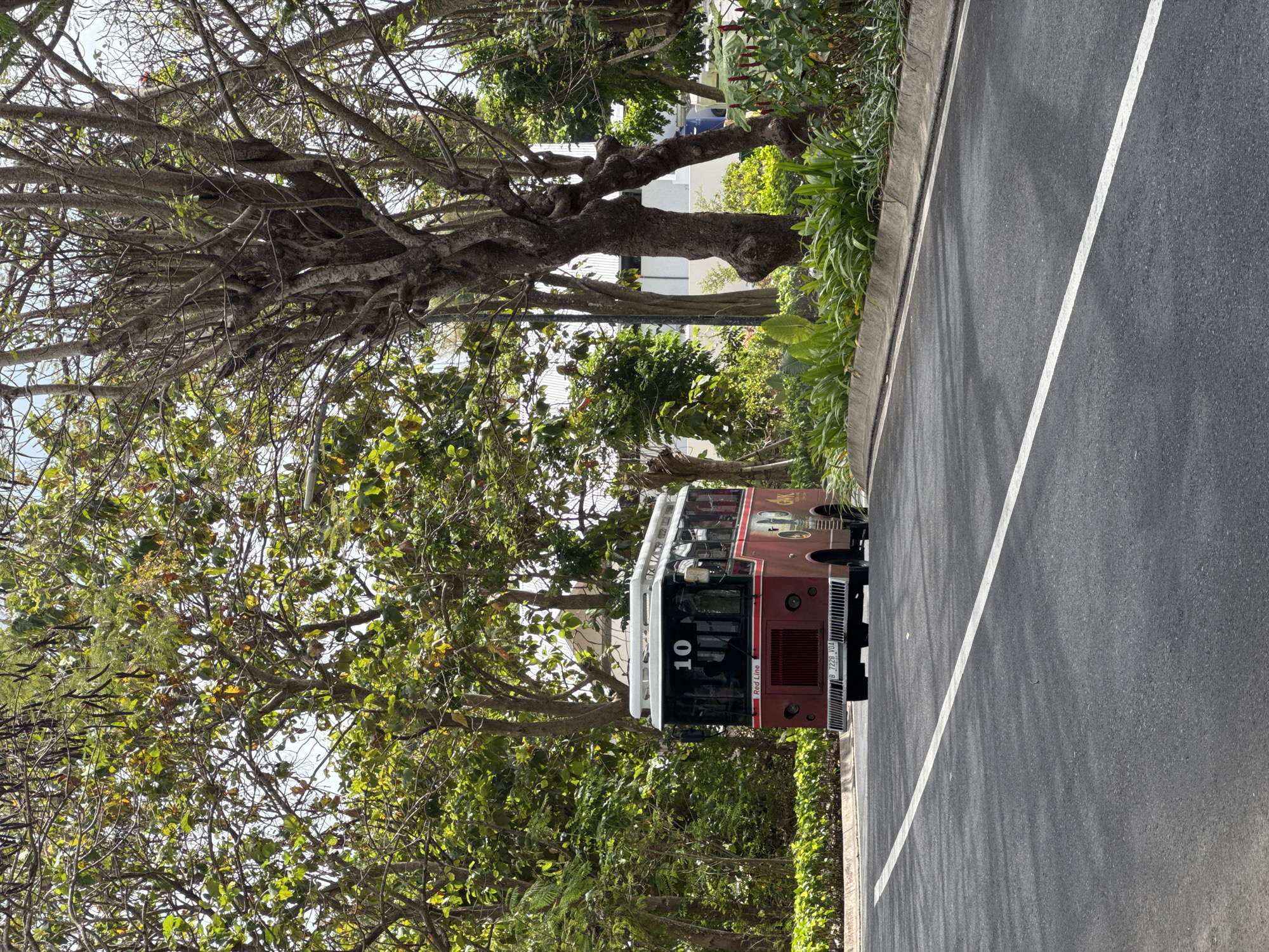 In Kuta Selatan, Indonesia, a maroon trolley bus with the number "10" displayed on its front drives down an asphalt road lined with trees and lush green vegetation. The bus has "Red Line" written on its front grille. Sunlight filters through the dense foliage, casting dappled shadows on the road. The environment appears to be a well-maintained park or resort area.