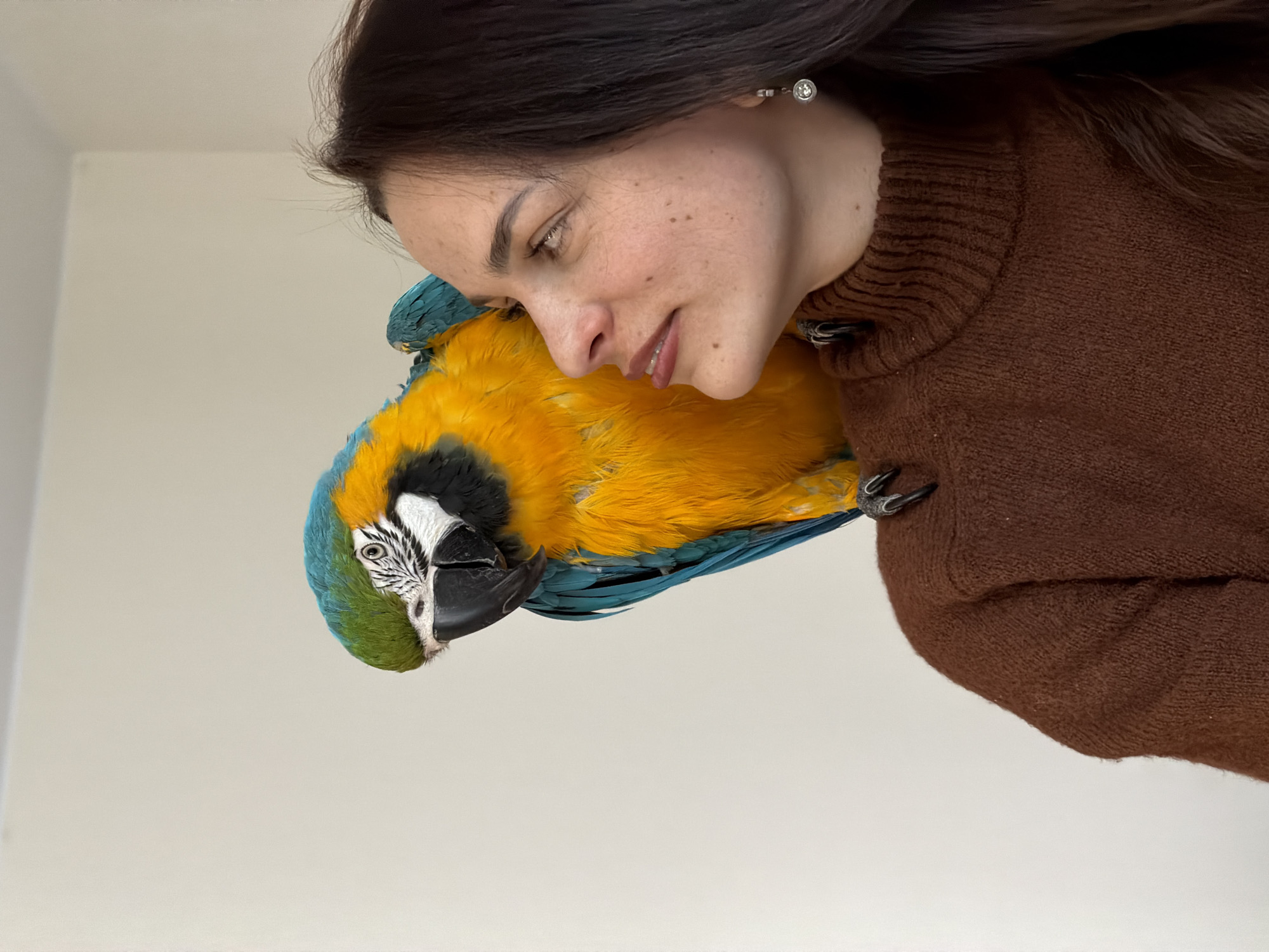 A woman with dark hair and freckled skin is pictured alongside a macaw parrot. The woman is wearing a brown sweater. She is positioned close to the bird, with her face near its yellow and blue plumage. The parrot's beak is visible. The background is a plain, light-colored wall. The location is not evident in the image.