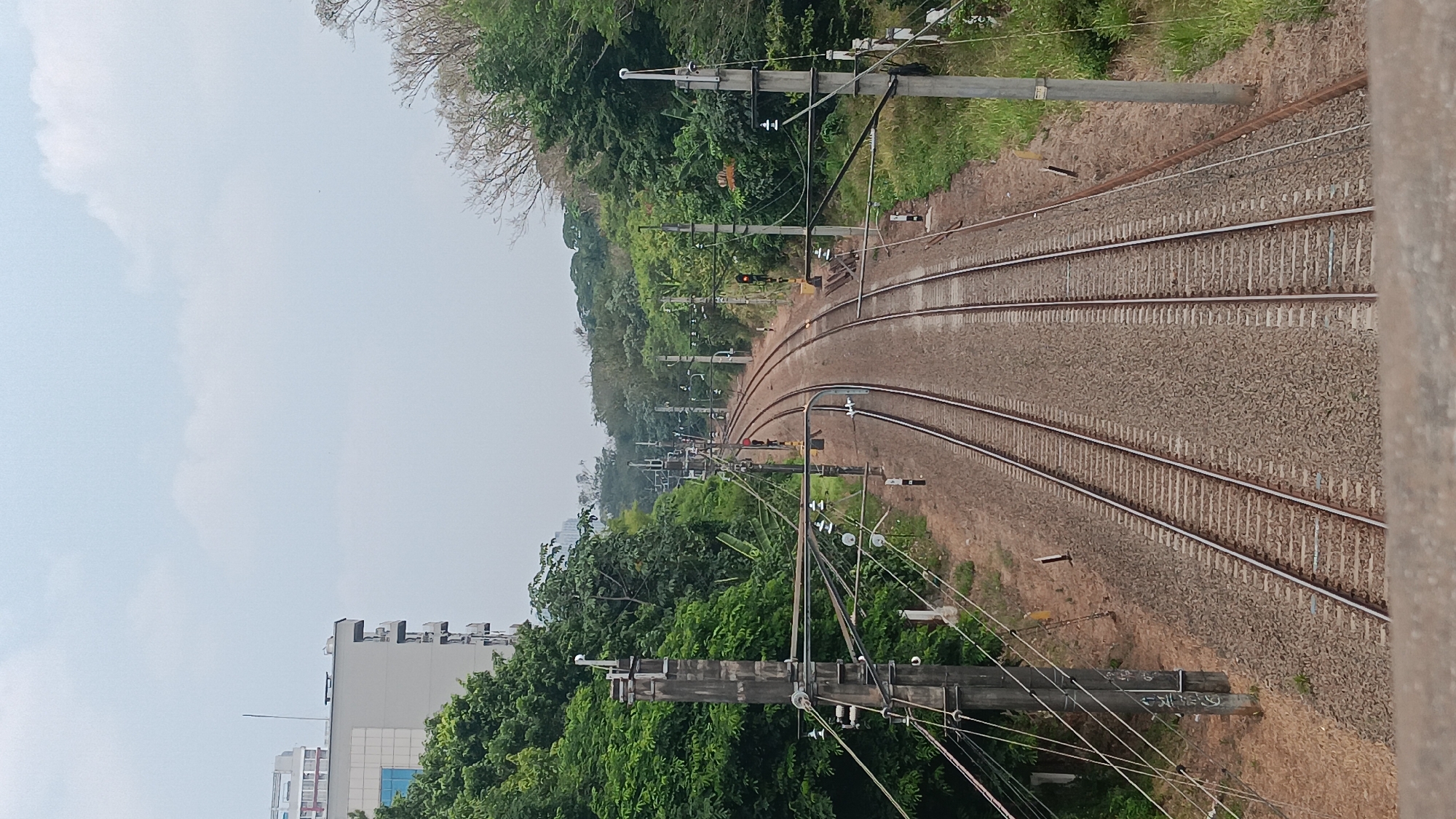 The image depicts a view of a railway track from an elevated perspective, possibly a bridge or overpass, in Depok, Indonesia. The tracks, consisting of two sets of parallel lines, curve into the distance, disappearing amidst lush green trees and vegetation. Along the tracks, several utility poles with wires are visible, indicating an electrified railway system. In the background, a modern building with multiple floors and windows is partially visible on the left side, contrasting with the natural surroundings. The sky is overcast with a pale blue hue, suggesting a cloudy day. There are no people or vehicles present in the frame. The overall scene captures a transitional zone between urban infrastructure and nature.