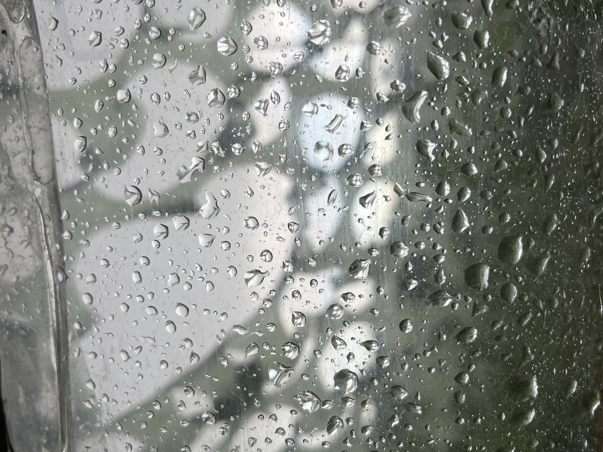 A close-up, slightly blurred image shows numerous water droplets on a transparent surface, likely a window or plastic sheeting. The droplets vary in size, from tiny specks to larger, more defined shapes with reflective highlights. The background is a diffused, muted gray-green, suggesting an outdoor environment under overcast or rainy conditions. The overall impression is one of a damp, possibly cold, atmosphere, with the water droplets obscuring a clear view of what lies beyond. The location within the city of Unknown, Unknown is not discernible from the image.