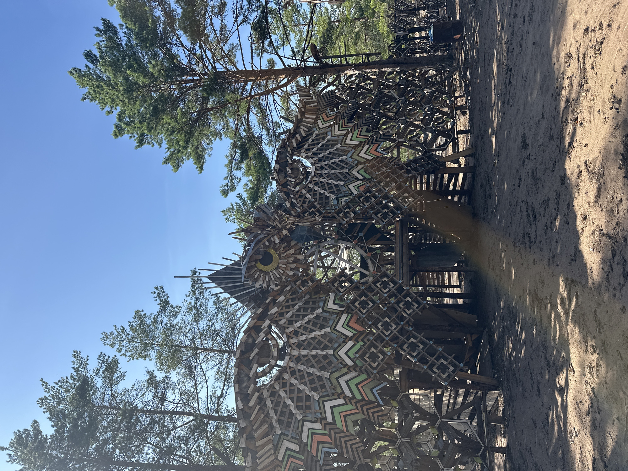 An outdoor, low-angle, full shot captures a large, intricate wooden art installation resembling an owl's head and wings, set against a backdrop of tall pine trees and a clear blue sky. The owl sculpture is constructed from numerous pieces of wood, forming a complex geometric pattern. It features a prominent eye with a yellow iris and black pupil, surrounded by radiating wooden elements. Colorful geometric shapes in shades of green, blue, orange, and white adorn the owl's wings. The ground in front of the sculpture is sandy and uneven, with dappled sunlight casting shadows from the surrounding trees. The installation appears to be part of an outdoor festival or park, possibly in Luzhki, Russia, given the presence of pine trees and the rustic, natural setting. No people are clearly visible within the sculpture or interacting with it in this frame.