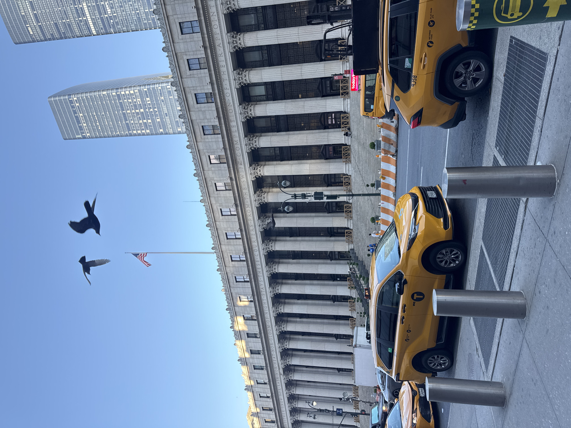 The image displays a bustling urban street scene in New York City under a clear, bright blue sky. Several yellow New York City taxis, primarily SUVs, are parked along a wide sidewalk in the foreground, facing towards the right. Each taxi features "NYC" and "T" logos, "METERED FARE," and "PAY FARE" labels; vehicle numbers such as "9J58" and "3JK1" are visible. Metal bollards line the edge of the sidewalk, and a street grate is also present. A green and yellow pole with a white bus icon stands near one of the taxis.
In the mid-ground, a grand, classical-style building with a long row of tall columns dominates the view. Along its entablature, the well-known inscription reads: "NEITHER SNOW NOR RAIN NOR HEAT NOR GLOOM OF NIGHT STAYS THESE COURIERS FROM THE SWIFT COMPLETION OF THEIR APPOINTED ROUNDS." An American flag flies from a tall flagpole positioned in front of this building. High above, two dark birds are captured mid-flight against the clear sky.
Further in the background, two sleek, modern skyscrapers with reflective glass facades stand tall, completing the urban skyline. The bright sunlight indicates it is daytime, likely late morning or early afternoon. A partially visible red sign with "today's" is seen behind one of the taxis. The scene captures a typical day in a vibrant city, blending historical architecture with contemporary structures and everyday street activity.