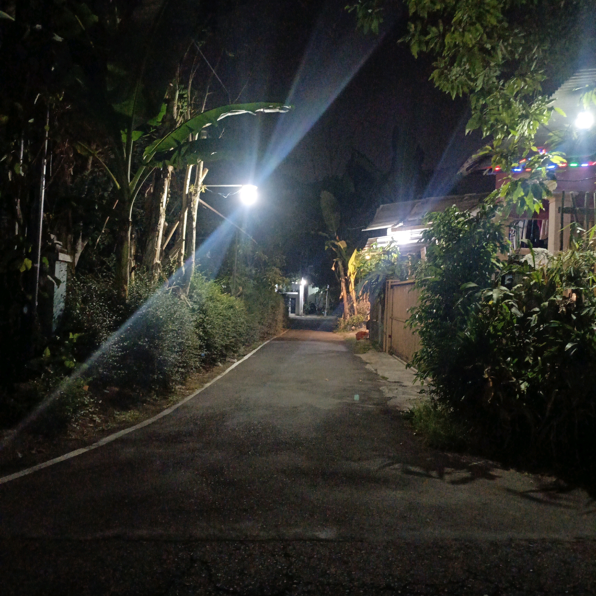 The image depicts a narrow, paved road at night, likely in a residential area on the outskirts of Salatiga, Indonesia, characterized by dense vegetation and modest housing. The road is flanked by lush bushes and trees, with tall banana plants on the left and a residential building with a wooden fence on the right. A streetlamp illuminates the scene, casting a bright light and creating streaks of light across the image, particularly in the upper left quadrant. Decorative lights, displaying red, green, and blue colors, are visible on the roofline of the building on the right. The overall impression is one of a quiet, dimly lit street with a slightly humid, tropical atmosphere, common in many Indonesian towns and cities.