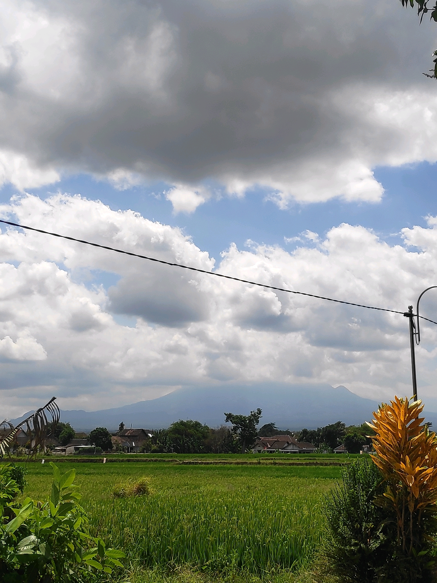 The image captures a rural landscape in Kebonarum, Indonesia, under a partly cloudy sky. A wide expanse of lush green rice paddies dominates the mid-ground, with terraced fields visible. Scattered amidst the paddies are clusters of houses with reddish-brown roofs, partially obscured by trees. In the distance, a large, hazy mountain range forms the horizon. A single black power line stretches across the upper half of the frame. In the foreground, to the right, a vibrant yellow plant with broad leaves stands out, contrasting with a dark green evergreen bush to its left. To the far left, some leafy green foliage is visible. A tall, dark pole with a curved arm extends upwards on the right side of the image, suggesting the presence of a streetlamp or similar utility. The overall scene depicts a serene, agricultural environment.