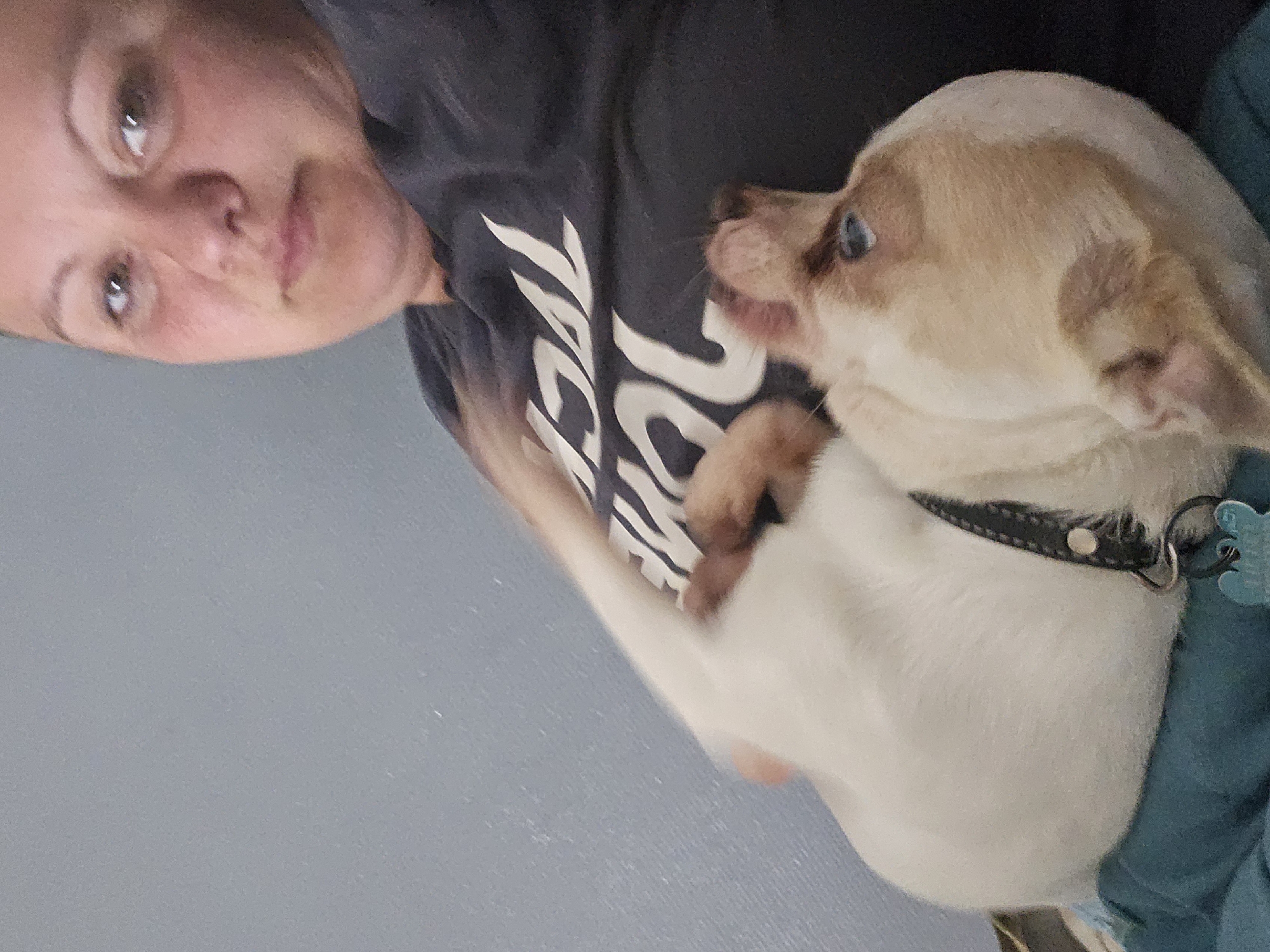A woman with fair skin and light brown hair is holding a small, white and tan Chihuahua. The dog has a black collar with a silver stud. The woman is wearing a dark colored t-shirt with white text. The background is light blue. There is no indication of the location being Hem, France.