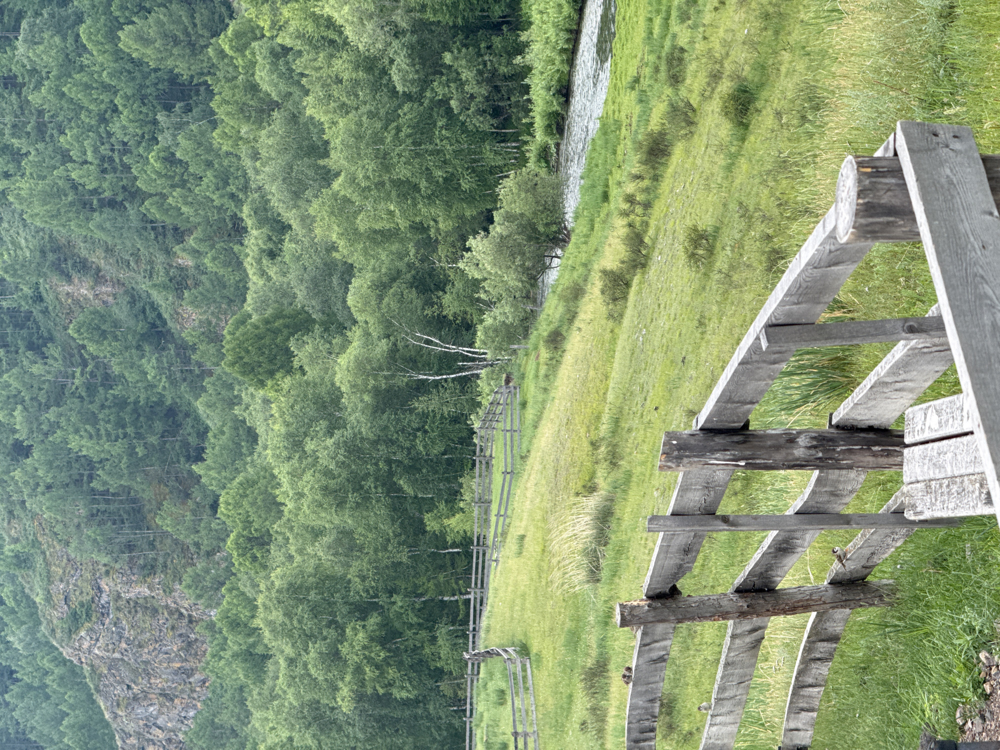 The image depicts a natural landscape with a prominent wooden fence in the foreground, separating a grassy field from a forest and a river. The fence is made of weathered gray wood, consisting of horizontal planks supported by vertical posts. Several small birds are perched on the fence.
The field behind the fence is covered in green grass with patches of taller, dry vegetation. A winding wooden fence runs through the field, curving into the distance.
Beyond the field, a dense forest of green trees stretches across a gently sloping hillside. In the upper left corner, a rocky, steep incline is visible, also covered with trees. A river flows from the right side of the image towards the left, bordered by lush green vegetation. The overall impression is a tranquil, rural setting, possibly within the natural environments of Anchyl-Chon, Russia, known for its forested areas and rivers.