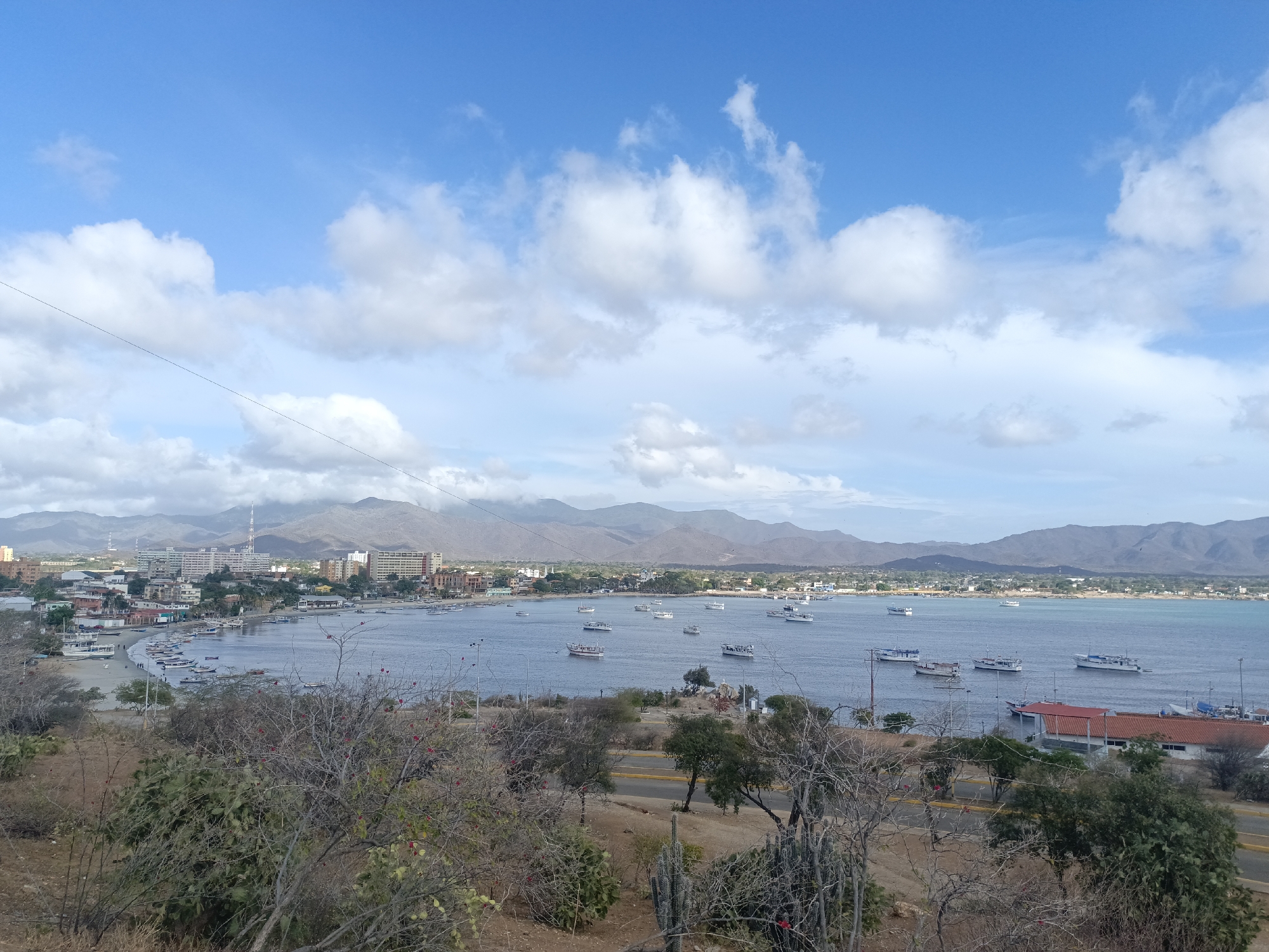 The image captures a panoramic view of Juan Griego, Venezuela, with a bay dotted with boats. The foreground features dry, scrubby vegetation on a hillside overlooking the bay. A road with a yellow stripe runs through the middle ground. In the distance, the urban sprawl of Juan Griego stretches along the coast, backed by a range of hills. Several boats are visible in the bay, some docked and others at sea. The sky is blue with scattered white clouds. The lighting suggests it is daytime.