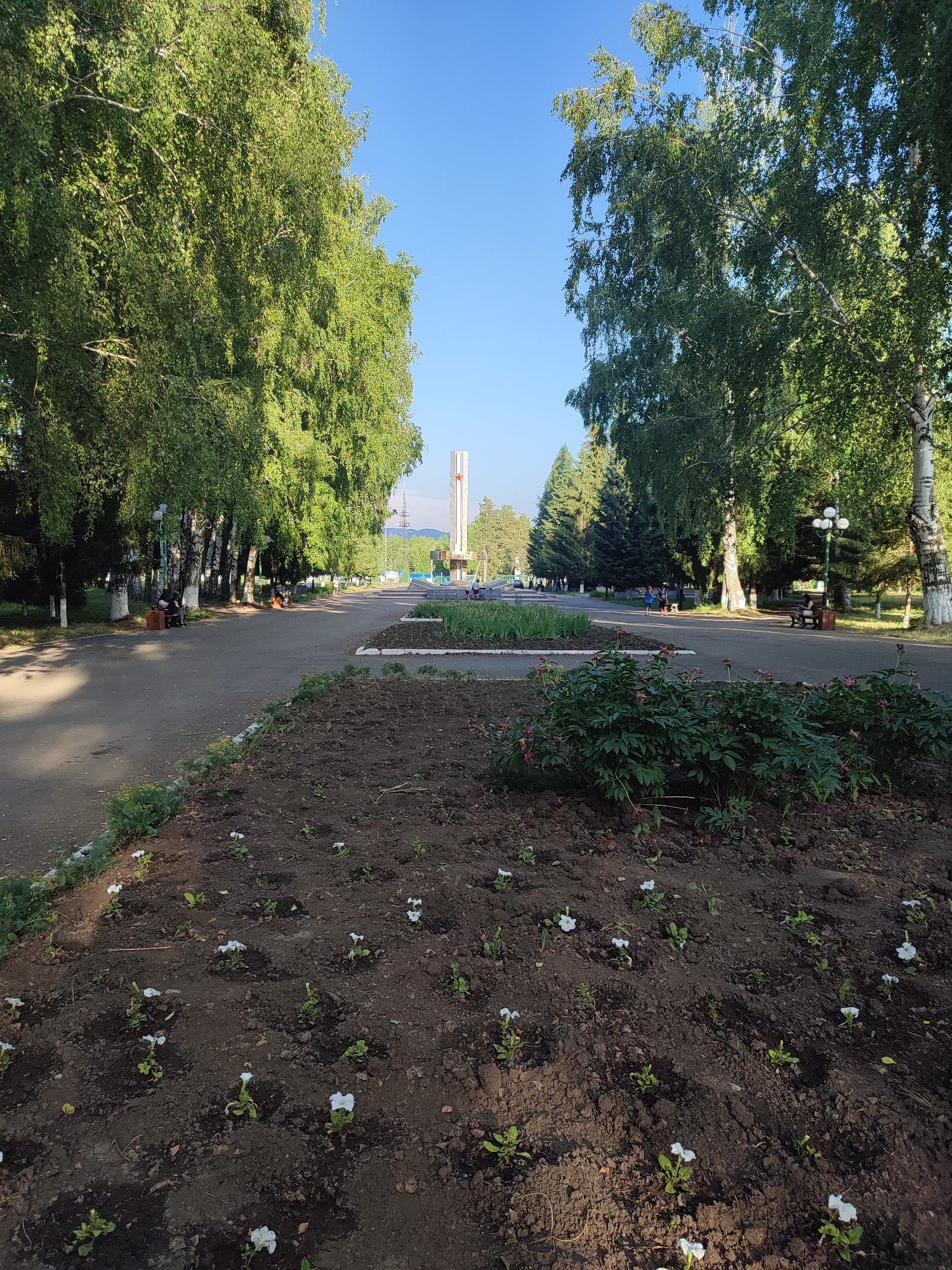Memory