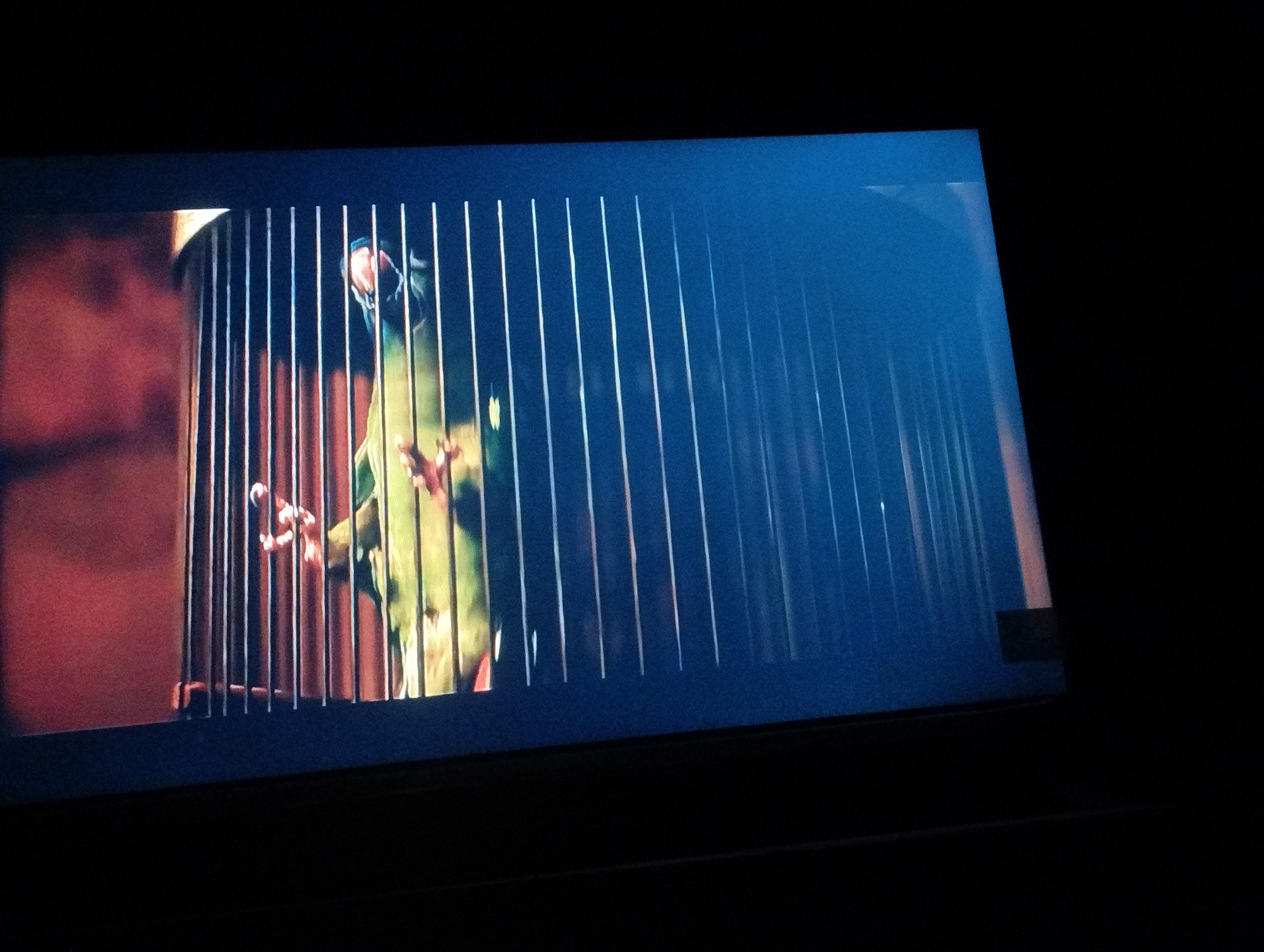 A television screen shows a green parrot in a cage. The parrot is facing the viewer with its claws visible on the cage bars. The background behind the cage is blurred and appears to be indoors, possibly a room with red or brown tones. The rest of the image is black, indicating a darkened room where the television is situated. The image does not provide any information about the location in the city of Punta de Piedras, Venezuela.