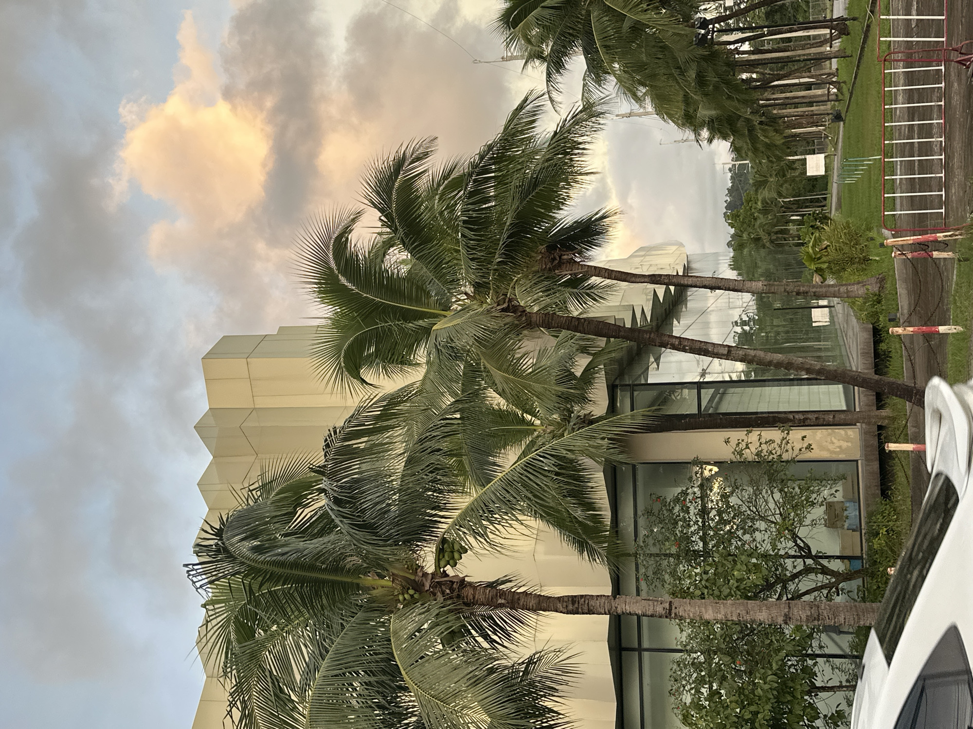 The image depicts a scene with prominent palm trees in the foreground, their fronds reaching towards a sky filled with soft, diffused clouds. The clouds are tinged with warm hues, suggesting either sunrise or sunset. Behind the palm trees, a modern building with a textured, angular facade and large glass windows is visible. The building's design suggests it could be an office or commercial space.
To the right of the building, there is a grassy area bordered by a walkway and a white fence with red accents. The walkway appears to be made of concrete. Further back, more trees and a line of utility poles or thin trees are visible, creating a sense of depth and a tropical environment. A small tree with red fruits is also noticeable through the building's windows.
In the lower right corner, a portion of a white vehicle is captured, indicating the presence of transportation. The overall mood is serene and tropical, with the natural elements of the palm trees and sky contrasting with the man-made structure. The lighting suggests a soft, natural illumination, likely during the golden hours of the day. The location cues, such as the palm trees and the general aesthetic, align with a tropical setting like Kathu, Thailand. No text is visible in the image.