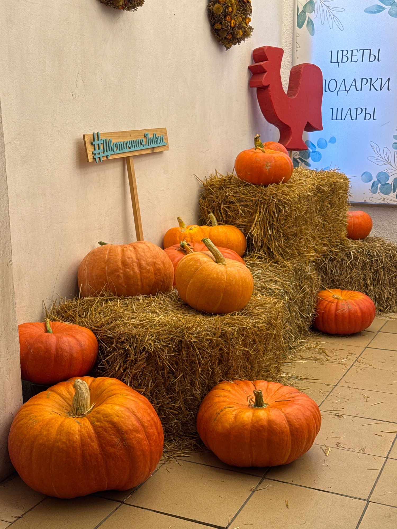 This is a medium-shot, eye-level, vertical photograph of a seasonal display, likely for autumn or Halloween, set against a textured, light-colored wall and tiled floor. The scene is composed of several large, orange pumpkins arranged on bales of hay.
In the foreground, two large pumpkins are prominently displayed. The one on the left is closer to the camera and is a vibrant orange with visible ribs and a light-colored stem. To its right, and slightly further back, is another large pumpkin with a similar coloration and texture.
Behind these, the hay bales create a tiered display. On a lower bale, a medium-sized pumpkin sits. On a higher bale behind it, several more pumpkins are visible, including one large one in the center and others to its sides. Some of these pumpkins have visible stems and slight variations in their orange hue.
To the left of the pumpkins, a wooden signpost with a turquoise hashtag and Cyrillic text reads "#Цветочная Лавка" which translates to "#Flower Shop". This sign is positioned on a wooden stake.
To the right of the hay bales and pumpkins, a red wooden rooster decoration is mounted on the wall. Above and to the right of the rooster, a large poster or sign with a blue floral motif is visible. This sign contains Cyrillic text in a darker, possibly black, font, with the words "ЦВЕТЫ" (Flowers), "ПОДАРКИ" (Gifts), and "ШАРЫ" (Balloons) stacked vertically.
The environment appears to be indoors or in a covered outdoor space, given the tiled floor and the presence of a wall. The lighting is soft, suggesting ambient indoor lighting. There are no people visible in the image. The overall impression is a festive and decorative arrangement, likely associated with a shop or event. There is no identifiable context for this location being in Tver, Russia, other than that the text is in Russian.