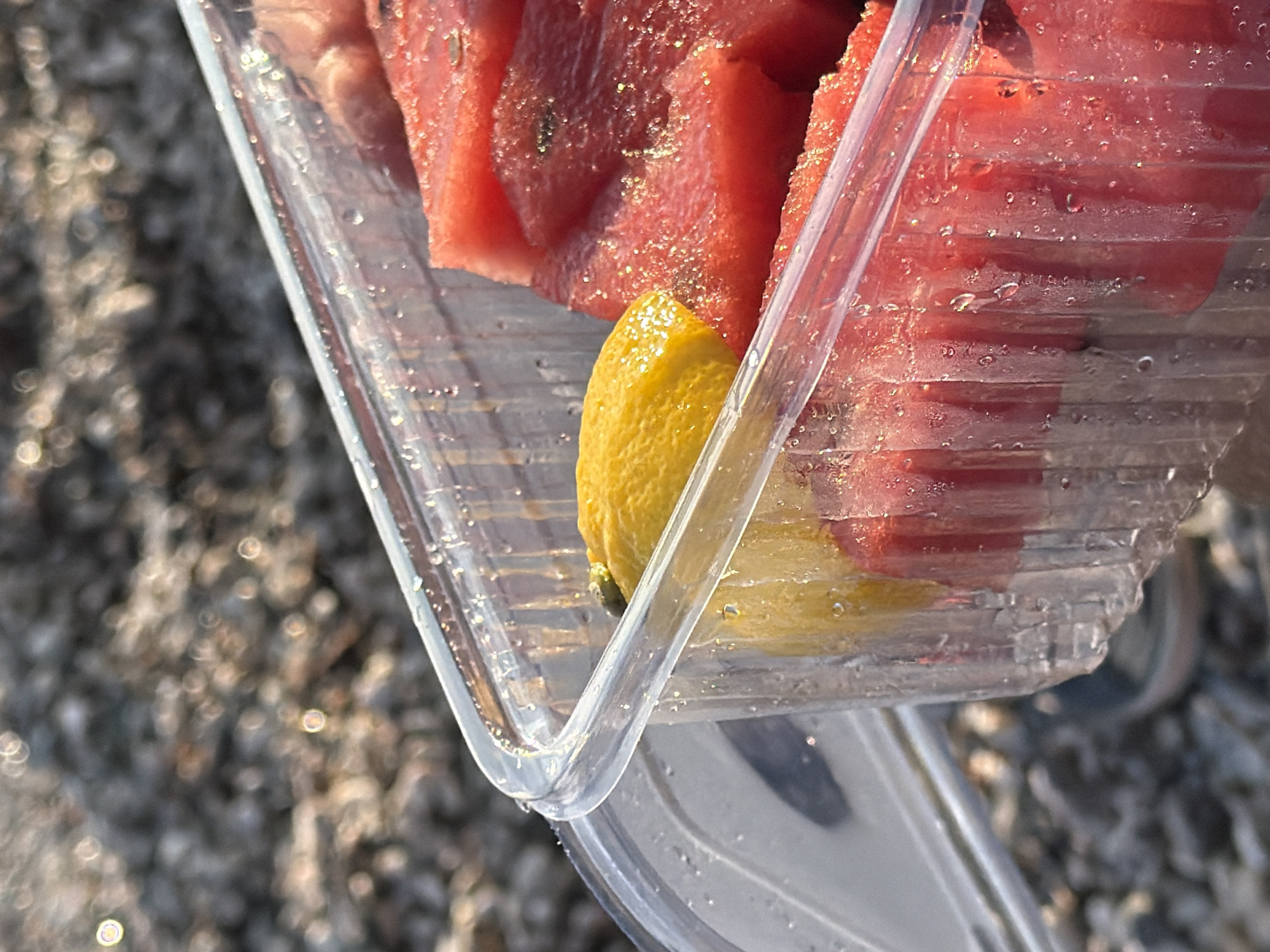 A close-up shot shows sliced watermelon and a lemon in a clear plastic container. The container is filled with wedges of red watermelon, some of which are partially obscured by water droplets on the plastic. A single, bright yellow lemon sits on top of the watermelon, positioned in the front left of the container. The background is blurred, revealing a textured surface of pebbles and small rocks, consistent with a beach setting. Sunlight glints off the watermelon and the water droplets, creating a warm, bright atmosphere. The scene appears to be set outdoors in Budva, Montenegro, with the blurred background suggesting a coastal environment. There are no people visible in the image, and the focus is solely on the contents of the container and its immediate surroundings.