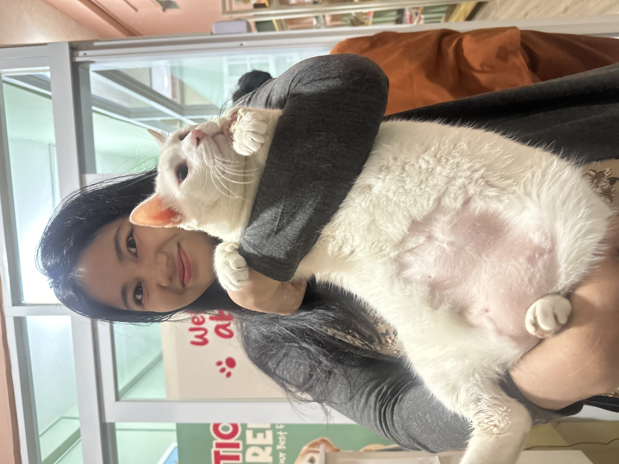 The image shows a woman holding a large white cat. The woman has dark hair and is wearing a gray long-sleeved shirt. She is smiling slightly at the camera. The cat is mostly white with some possible orange or light coloring around its ears and face. It is being held in a cradled position, with its belly visible.
In the background, there is a sign for "Tio RE" with some obscured text below, as well as the phrase "We All..." with a paw print. There is also what appears to be a glass window or door with white frames. A partial view of a cluttered shelf or cabinet can be seen behind the woman. The surroundings and signage suggest the location might be a pet-related business or facility in North Jakarta, Indonesia.