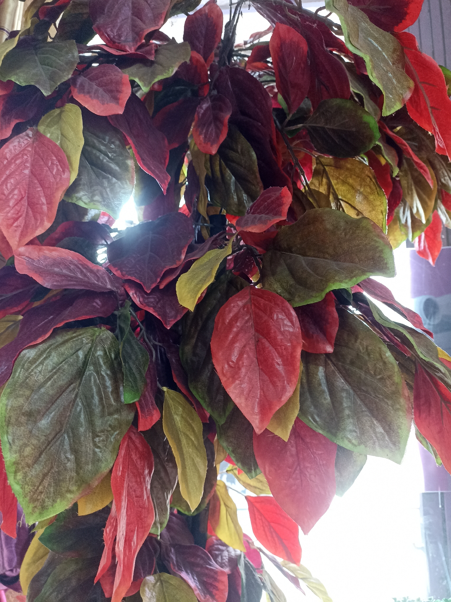 The image shows a close-up view of a cluster of artificial leaves, primarily in shades of red, green, and yellow. The leaves are densely packed and appear to be hanging, with a bright light source visible behind them. The overall impression is one of autumn foliage, though the artificial nature of the leaves is apparent upon closer inspection. No specific location within Tompokersari, Indonesia, can be determined from the image. There are no people or any discernible actions depicted.