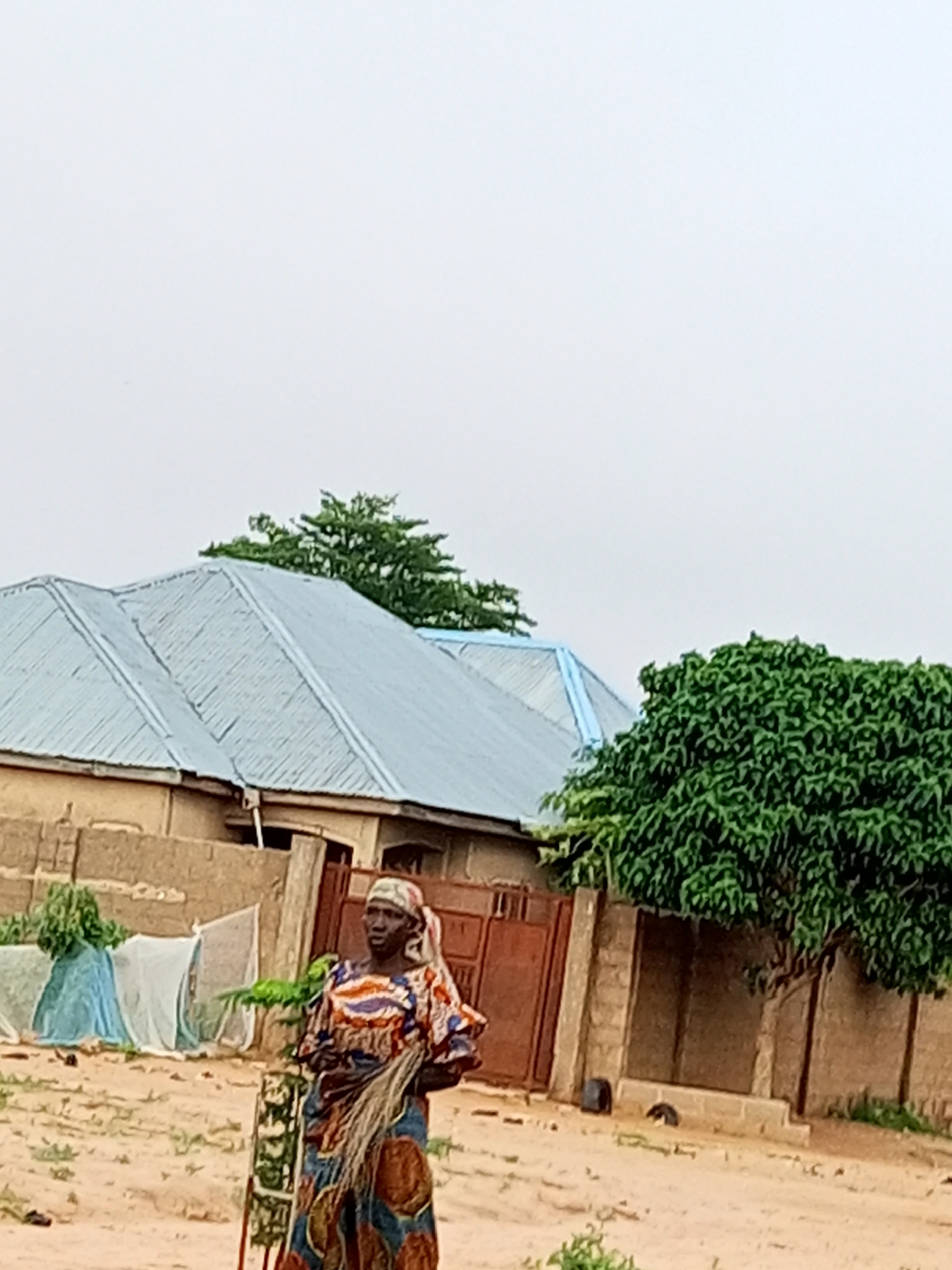 A woman is standing in a dusty area outside a building. She is wearing a colorful patterned headscarf and a patterned dress. She is holding a broom made of dried plant material. Behind her are buildings with corrugated metal roofs and a large green tree. There are also some covered structures, possibly for protection or storage. The ground is covered in sand and sparse vegetation. The sky is overcast. The scene appears to be in a residential or semi-rural area of Gombe, Nigeria.