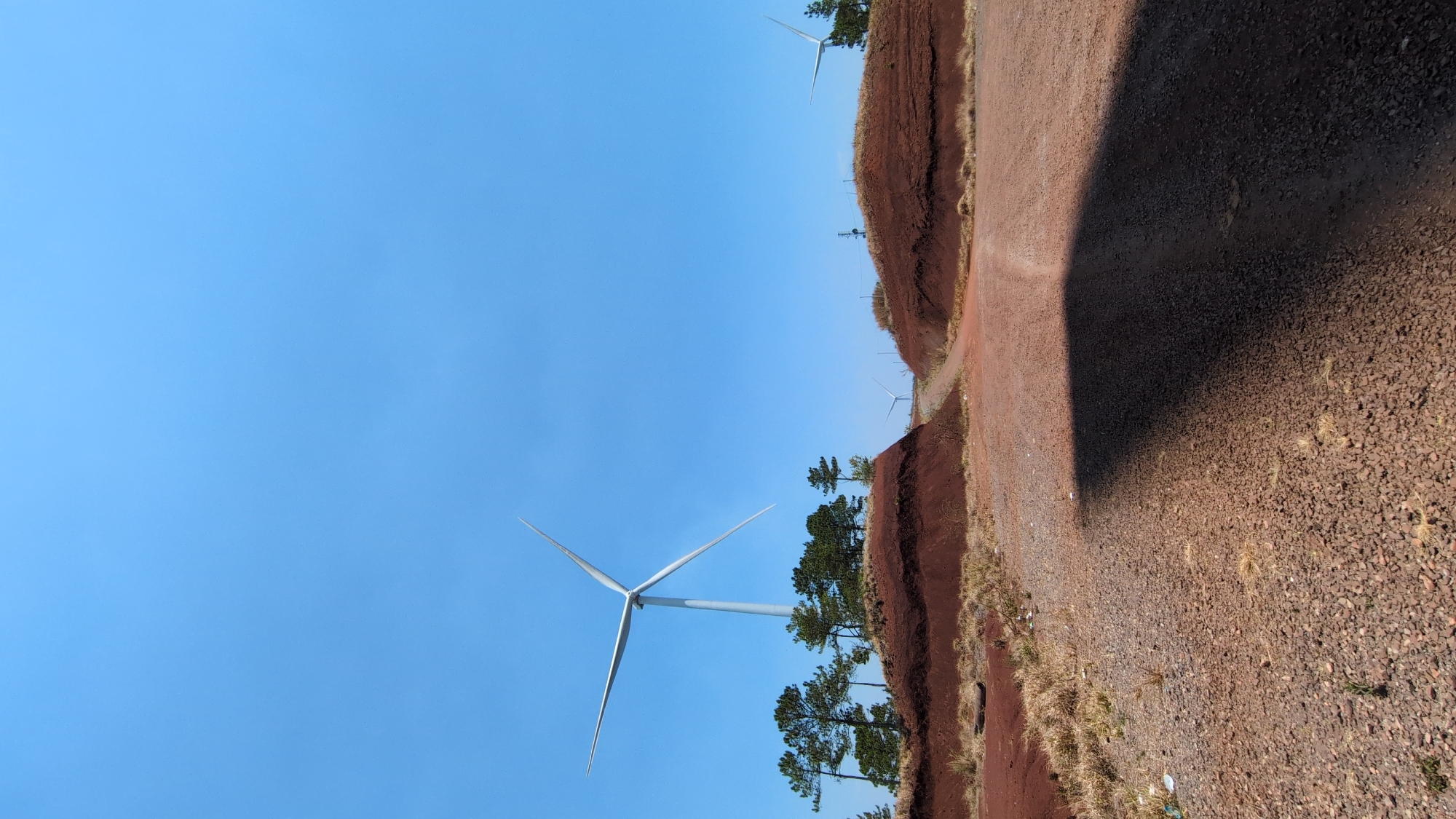 The image shows a wind farm in Phát Chi, Vietnam. The sky is clear and blue. In the foreground are the blades of a wind turbine. Several pine trees are visible on the right. There is a red gravel road running along a ridge with low vegetation. More distant wind turbines are visible along the ridge. The ground is red and rocky. There is a shadow cast on the ground on the right.