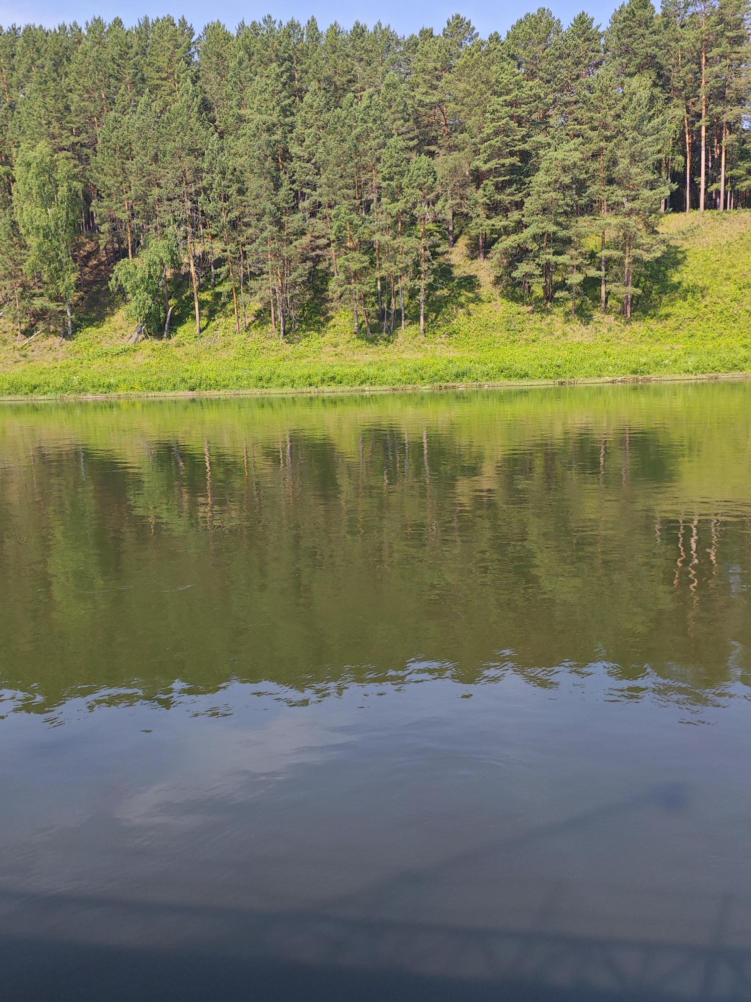 The image depicts a serene natural scene featuring a calm body of water in the foreground, reflecting the lush green trees and vegetation on the opposite bank. The bank is covered with a dense forest, predominantly pine trees with some deciduous trees interspersed, indicative of a temperate climate. The water's surface is disturbed by gentle ripples, creating distorted reflections of the trees. The sky above is a clear, pale blue. The overall impression is one of tranquility and natural beauty. The location is the city of Piskunovka, Russia, known for its picturesque landscapes and proximity to nature.
