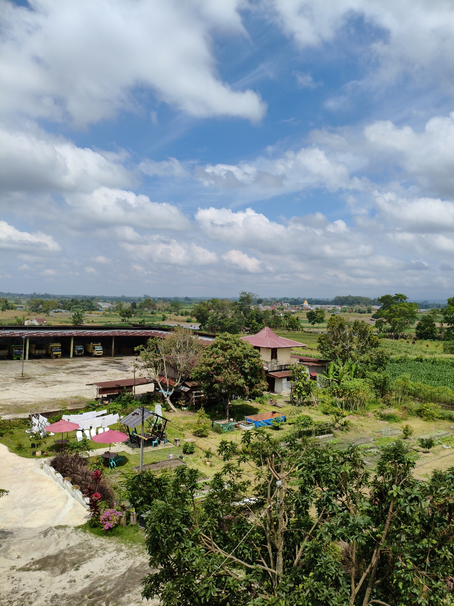 This is a high-angle, full shot of a rural scene in Sidamanik, Indonesia. The sky is filled with white, fluffy clouds against a bright blue backdrop. Below the sky, the landscape unfolds with a mixture of agricultural fields, buildings, and trees.
In the mid-ground, a collection of yellow trucks are parked under a long, open-sided structure with a rusty roof, suggesting a depot or warehouse. Adjacent to this structure, there's a residential building with a prominent red tile roof and a smaller adjacent building. A well-maintained garden area is visible, featuring red umbrellas, white laundry hanging on a line, and a gazebo with seating. Further into the scene, lush green fields, possibly crops, stretch towards the horizon, interspersed with trees and smaller houses. The distant horizon shows a cluster of buildings and more greenery, indicating a small settlement or village.
The foreground is dominated by the branches and leaves of large trees, framing the view. The overall impression is one of a peaceful, rural environment with evidence of commercial activity in the form of the trucks and warehouse.