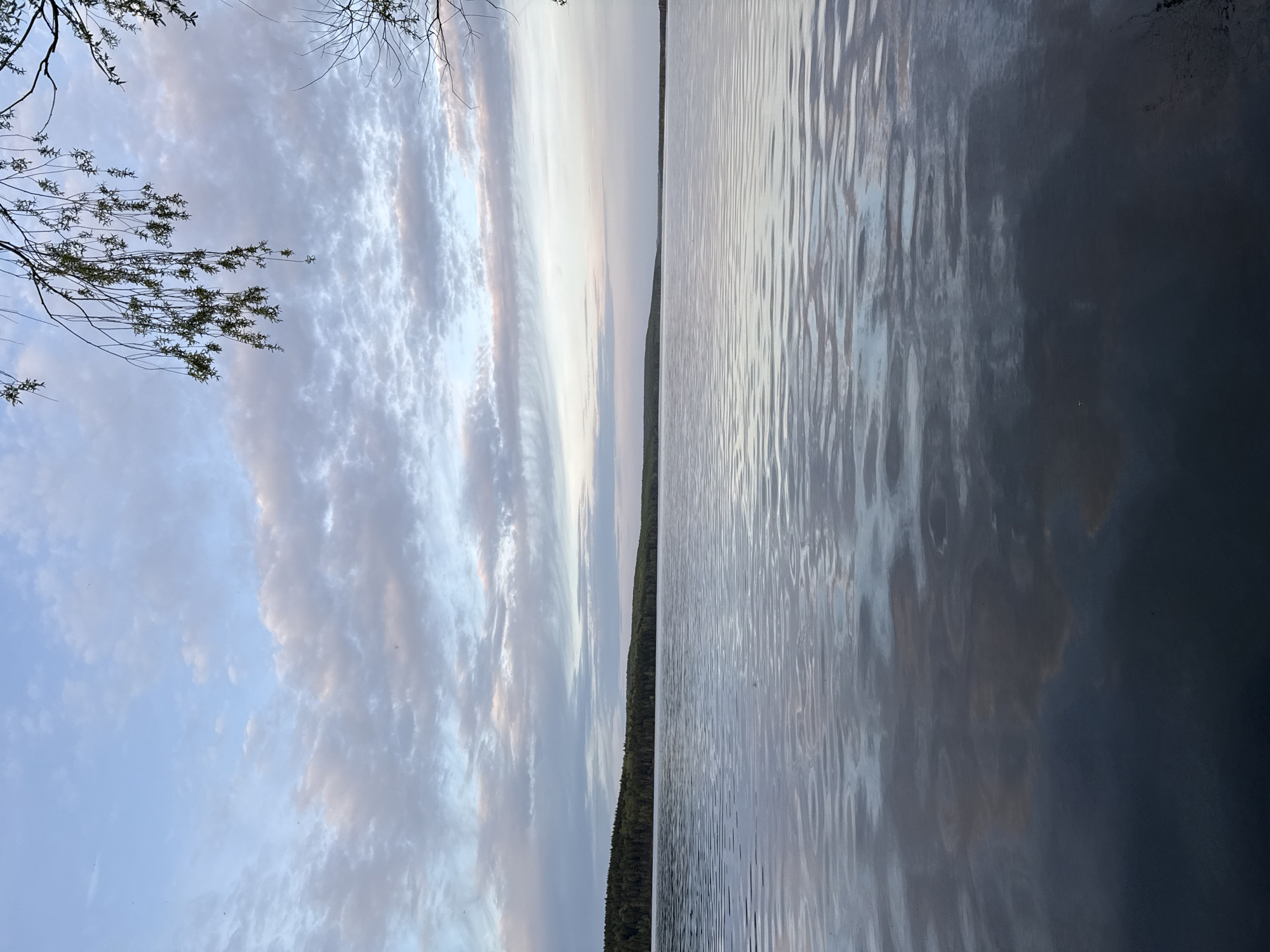 The image depicts a body of water, likely a lake or wide river, under a cloudy sky at dusk. A thin strip of trees lines the distant shore. The water surface shows ripples and reflections. In the upper left corner, a tree branch with leaves is visible. The location is specified as Chaikovsky, Russia, although there is no specific feature in the image that would confirm the location without additional information.