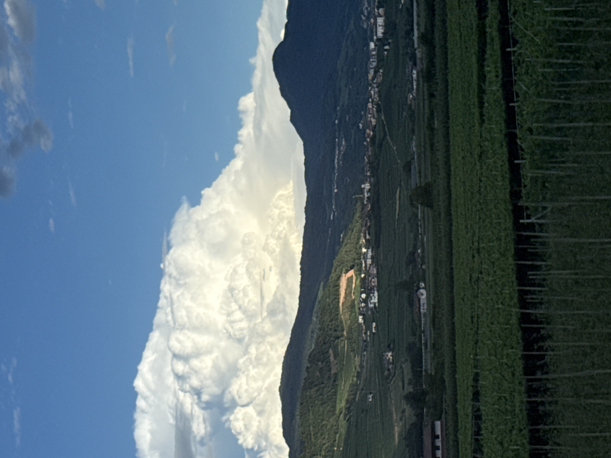 The image captures a scenic landscape near Nave San Rocco, Italy, under a bright blue sky with large, fluffy white clouds. In the foreground, a field of green crops, possibly vineyards, is visible with rows of trellises. Beyond this, the middle ground features rolling hills covered in dense green vegetation, dotted with small clusters of white buildings that suggest a village or town. The backdrop consists of dark, imposing mountains that rise against the sky. The overall impression is one of rural tranquility and natural beauty.