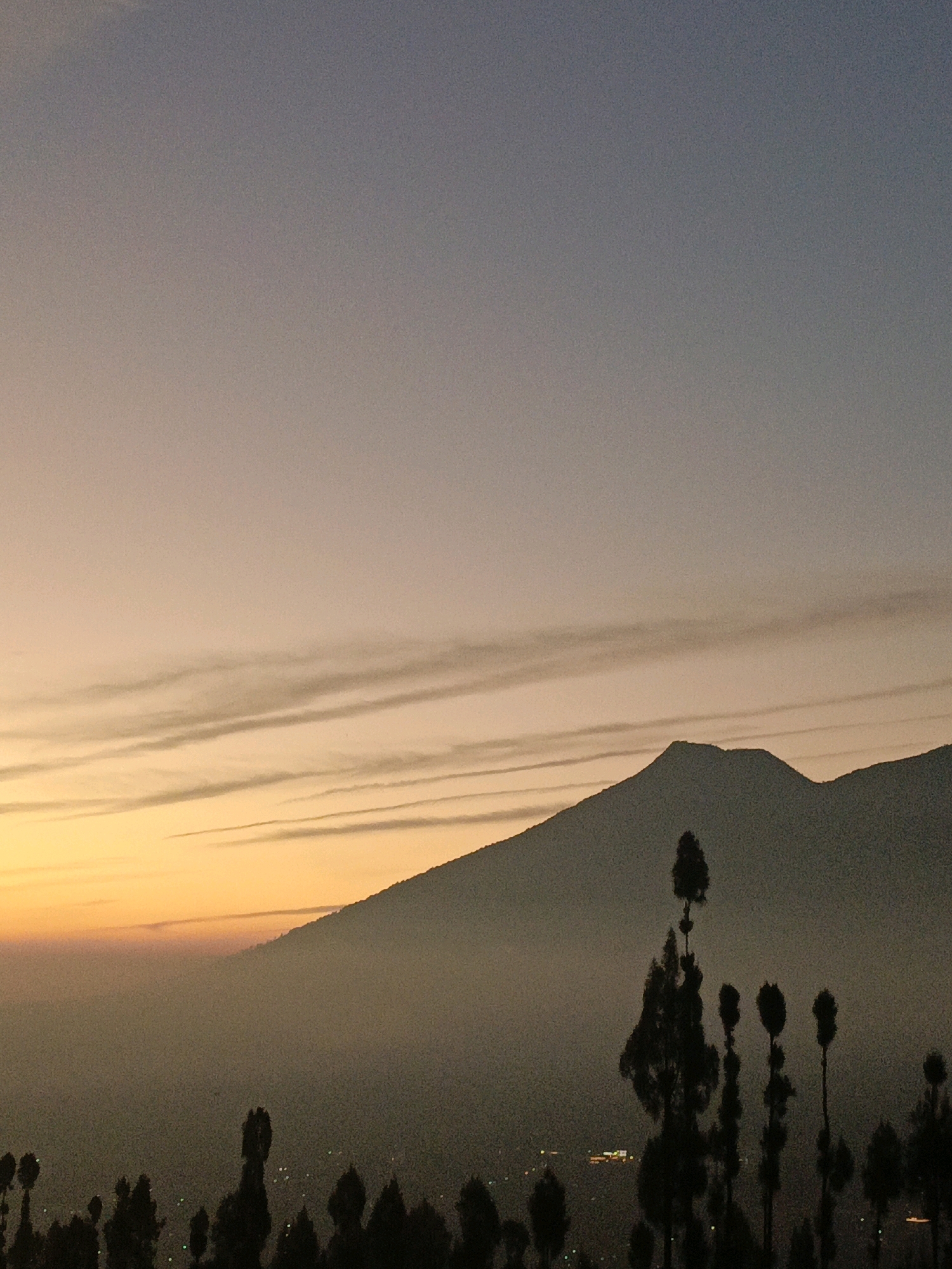 The image depicts a serene landscape at dusk, likely in or near Butuh Kidul, Indonesia. A silhouetted mountain range dominates the background, its peak partially obscured by a haze that blends into the sky. Thin, horizontal cloud formations streak across the upper portion of the sky, catching the fading light of the sunset. The lower half of the image reveals a valley filled with a soft mist, through which distant lights of a settlement can be seen twinkling. In the foreground, a cluster of tall, slender trees stands silhouetted against the twilight, their branches reaching towards the sky. The overall scene evokes a sense of tranquility and vastness.