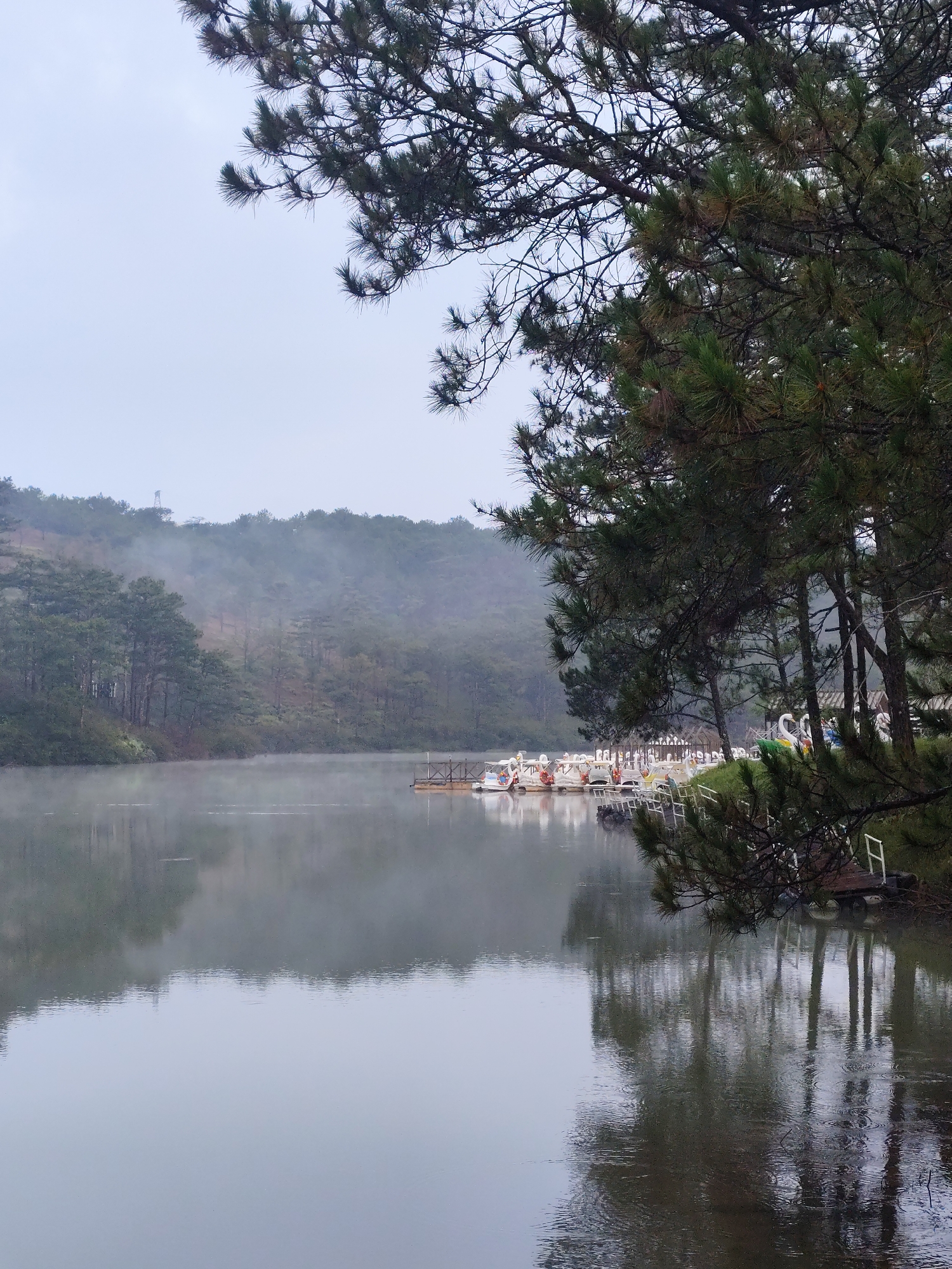 The image depicts a tranquil lake scene on a cloudy day in Lam Vien - Da Lat, Vietnam. The foreground features a body of water reflecting the surrounding landscape. In the mid-ground, a pier houses several swan-shaped paddle boats. A forest stretches across the background, partially obscured by a light fog. A tall tree is positioned on the right side of the frame.