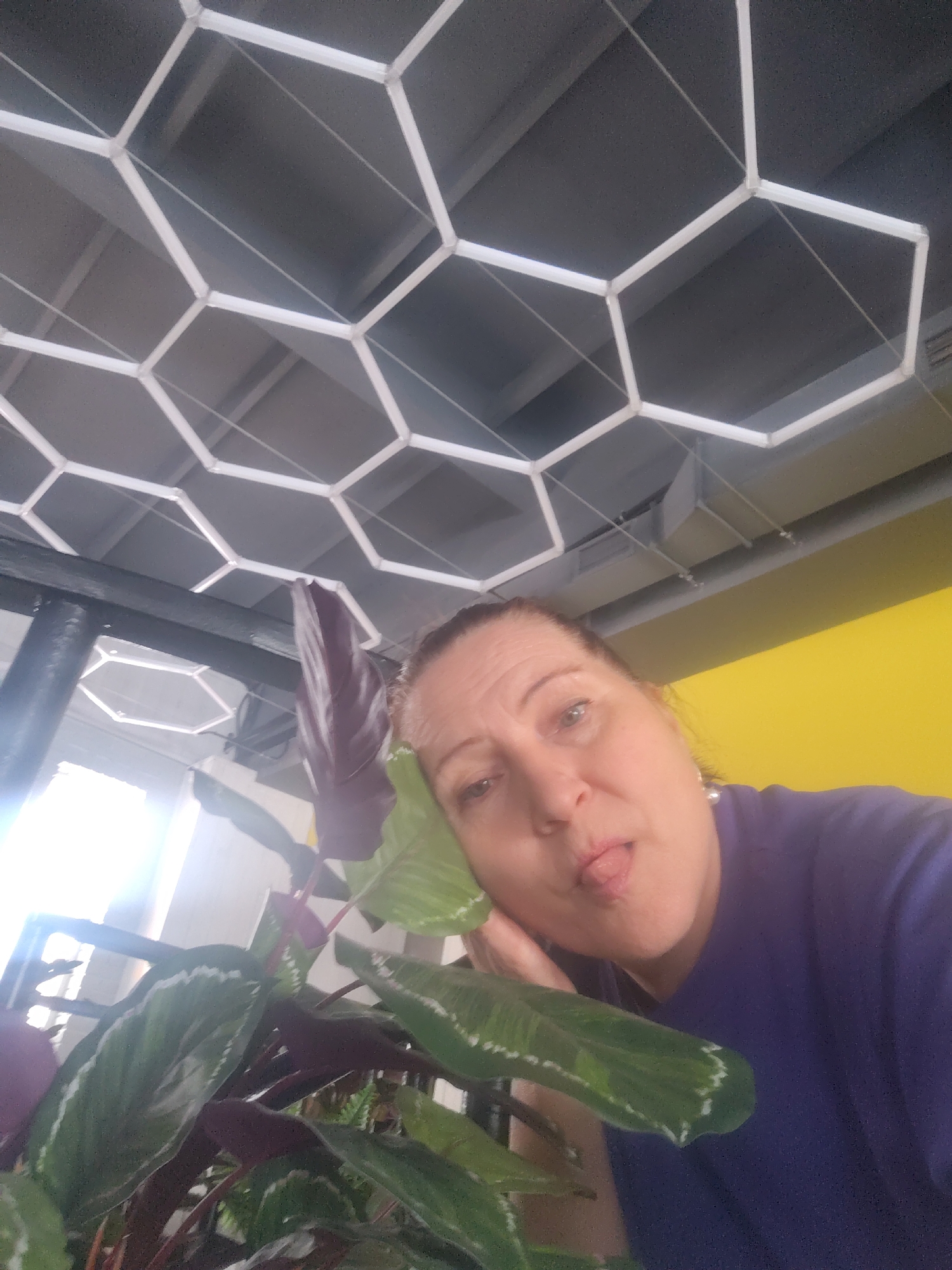 A middle-aged woman in a dark blue shirt is taking a selfie. She is sticking out her tongue and resting her head on the leaves of a houseplant, likely a prayer plant (Maranta leuconeura). The background features a ceiling with a honeycomb-patterned lighting fixture, and a yellow wall. The photo was possibly taken indoors in Sarapul, Russia, as per the instructions.