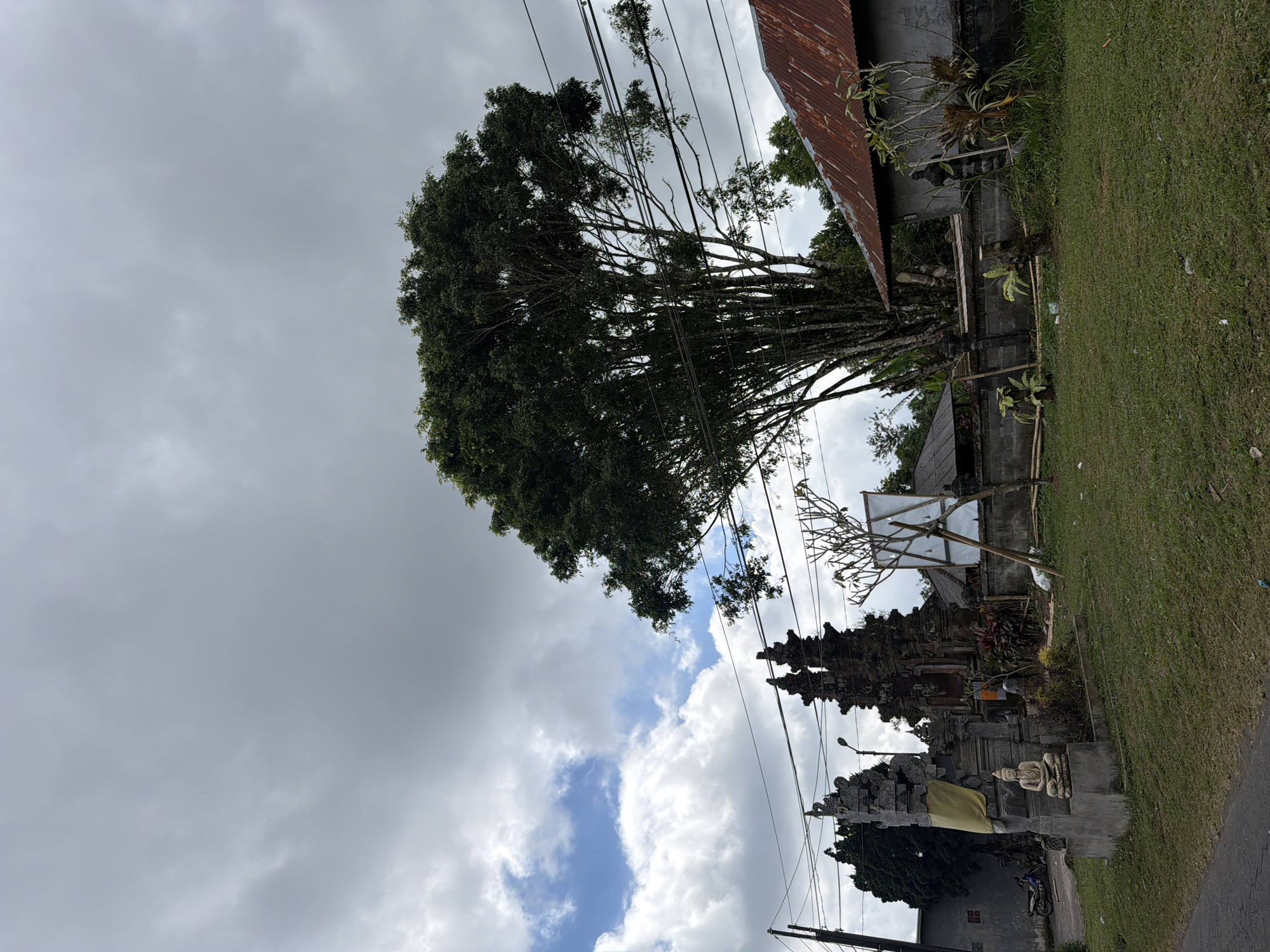 The image depicts a rural scene in Kintamani, Indonesia, under a cloudy sky. In the foreground, a well-maintained grassy area is visible, bordered by a paved road on the left. To the right, a building with a rusty, corrugated metal roof stands adjacent to a low stone wall. Behind the wall, a large, leafy tree dominates the center of the frame, its branches extending upwards and across the sky, intertwined with power lines.
To the left of the tree, a traditional Balinese temple gate, known as Candi Bentar, is prominent. The gate is made of dark, intricately carved stone. A yellow cloth is draped over one of the gate's spires, and a statue of Buddha sits on a pedestal in front of it. Further left, a motorbike is parked near a grey building. The overall environment suggests a residential or cultural area in a tropical setting.