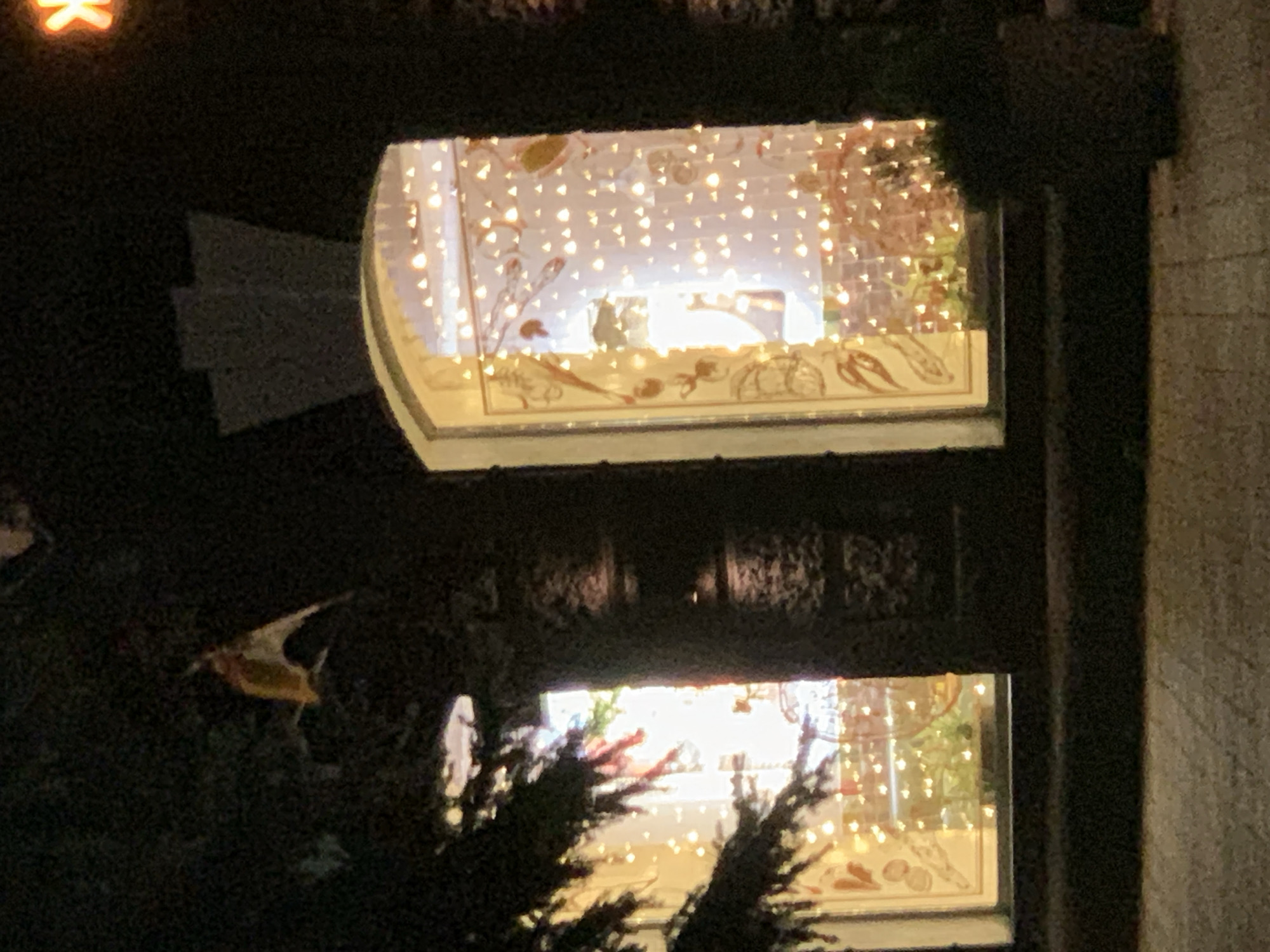 An exterior shot shows two brightly lit windows of a building at night, possibly a shop. The left window displays a Christmas tree with lights and ornaments. The right window is decorated with a curtain of small, twinkling lights and what appears to be festive decals or drawings on the glass, resembling leaves or floral patterns. A dark, shadowy tree partially obscures the left window, while a dark tree trunk is visible on the right. In the upper right corner of the frame, a bright orange sign shaped like a star is partially visible. The ground in front of the building is paved with cobblestones. The overall atmosphere is festive and wintry.