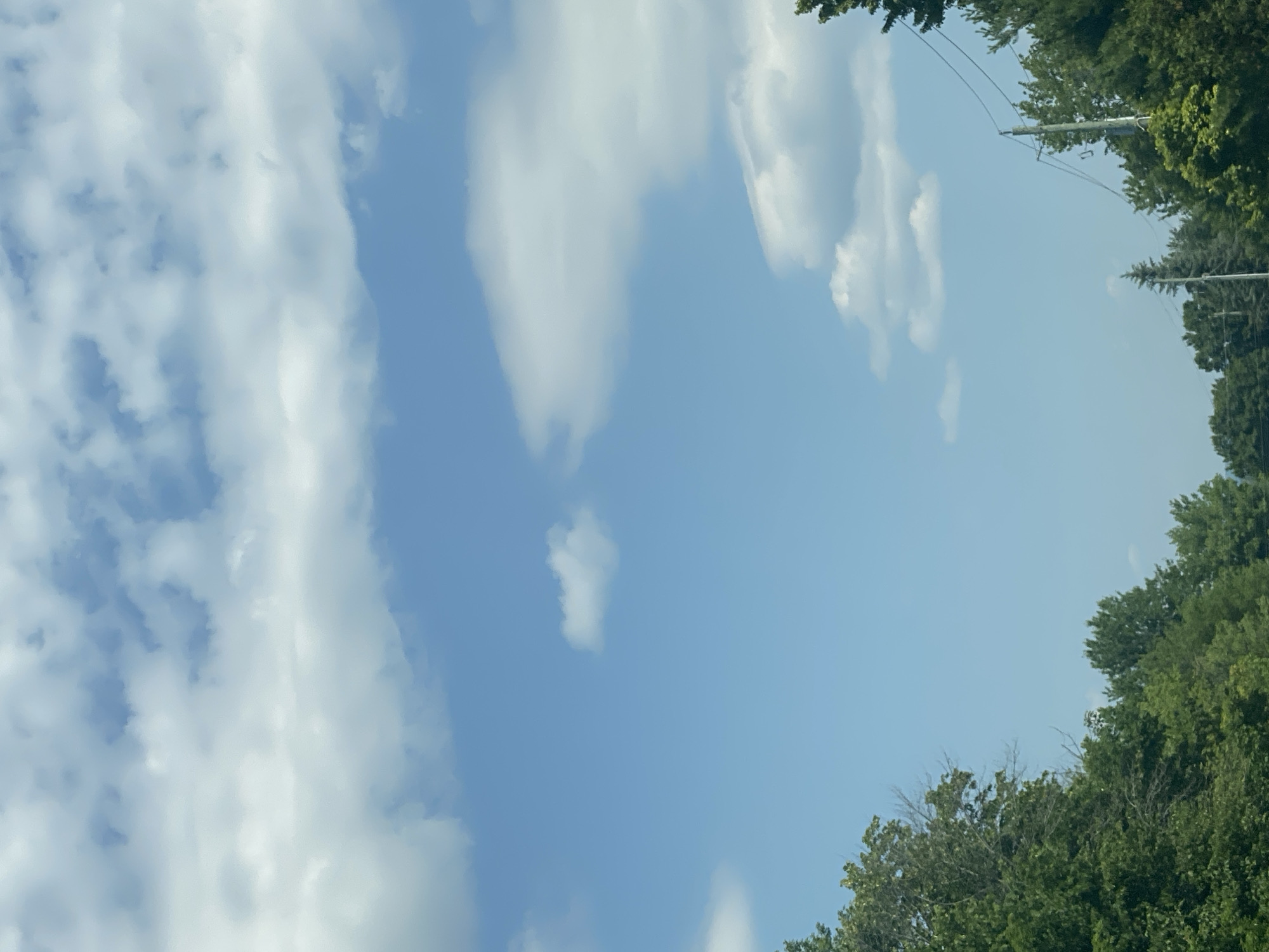 The image depicts a bright, daytime outdoor scene, likely from a moving vehicle given the perspective and composition. The sky dominates the upper portion of the frame, a clear blue punctuated by scattered white cumulus clouds. The lower portion of the image is filled with lush green trees, forming a dense canopy. On the right side, a utility pole with wires is visible, partially obscured by the foliage. The overall impression is one of a rural or suburban environment, characteristic of areas like East Hawkesbury, Canada, with its abundant natural greenery and infrastructure. There are no people or animals visible in the frame. The lighting suggests fair weather conditions.