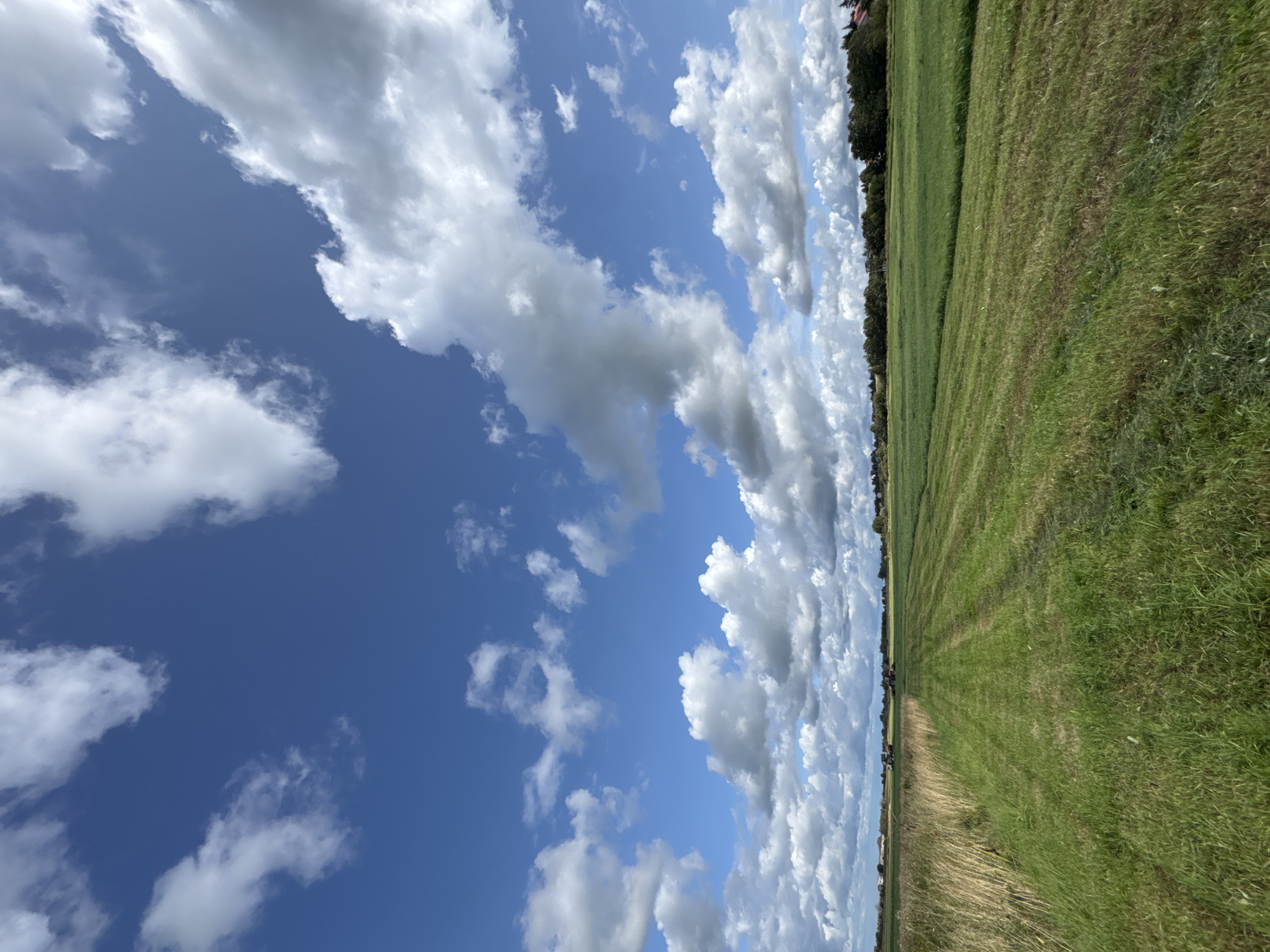 A wide-angle, low-angle shot captures a vast, green agricultural field under a dynamic sky. The field, cut in alternating rows, stretches from the foreground to a distant tree line. To the left, a strip of taller, dry grass runs parallel to the field. In the middle distance, two tractors are visible, one red and one dark, suggesting ongoing agricultural work. Beyond the field, a line of trees forms a dark green border, with a few buildings, including a red-roofed structure, peeking through. The sky is a vivid blue, populated by numerous white, puffy clouds, some casting shadows on the landscape below. The scene suggests an agricultural area, potentially in or around Kempelevo, Russia, during daylight hours with fair weather.