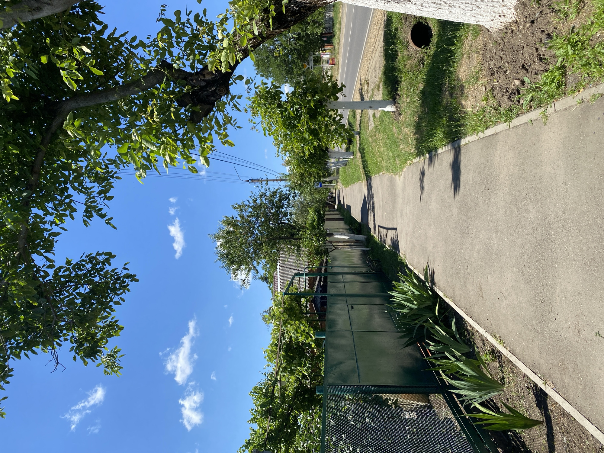 The image depicts a sidewalk on a sunny day, located in the city of Zapadny, Russia. The sidewalk is made of concrete and runs alongside a paved road. On the left side of the sidewalk, there is a green metal fence and a chain-link fence, with some leafy plants growing between them. Beyond the fences, a building with a grey roof is visible, partially obscured by lush green trees and grapevines. On the right side of the sidewalk, a line of young trees with white-painted trunks are planted along the grassy verge. A large tree with dark bark and green leaves is prominent in the foreground, casting a shadow on the sidewalk. The road appears to be a two-lane street with utility poles and overhead wires running along its side. In the distance, more trees and buildings can be seen. The sky is blue with scattered white clouds. There are no people visible in the image.