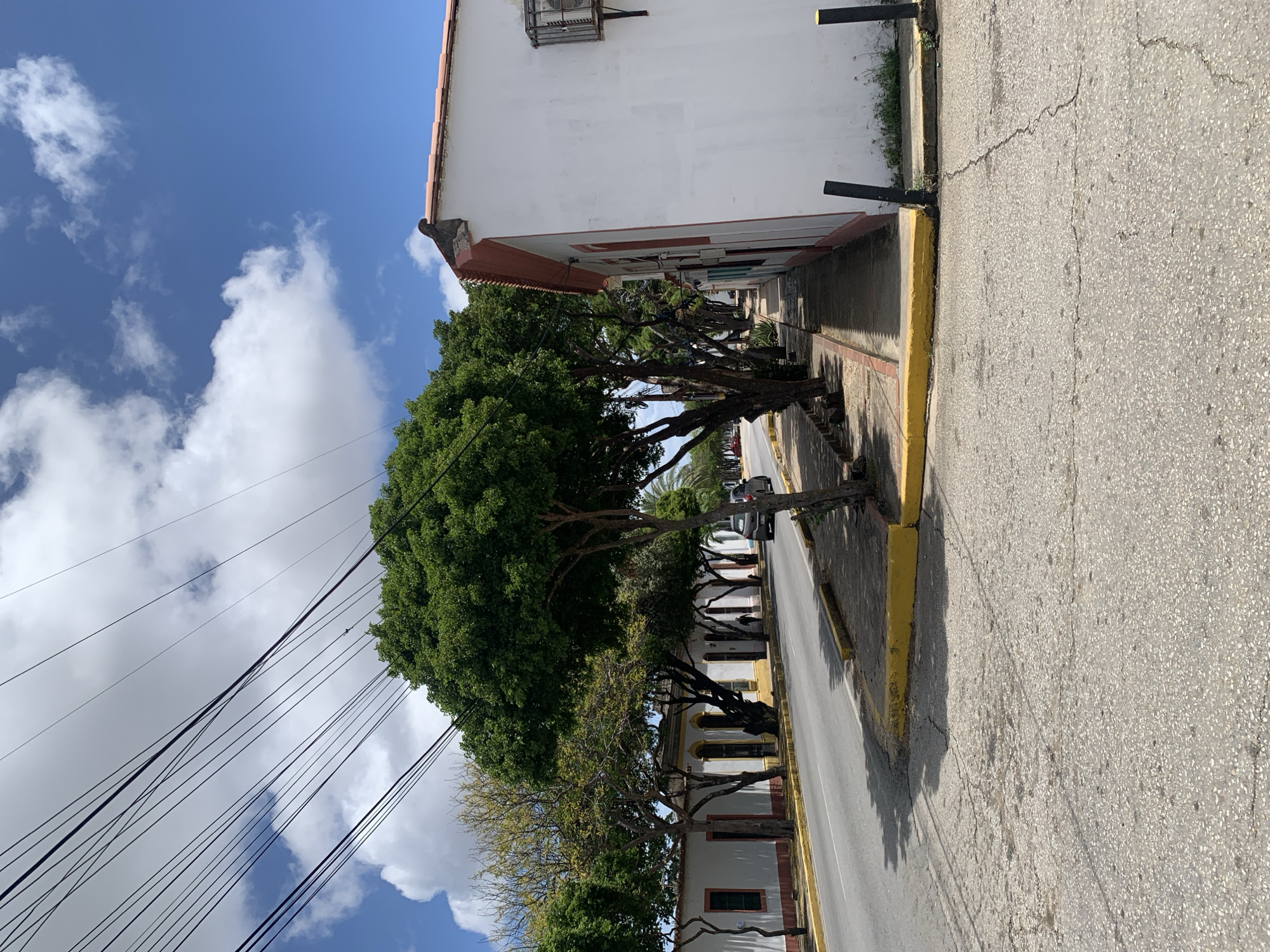 The image depicts a street scene in Santa Ana, Venezuela. A white building with a red-trimmed roof runs along the right side of the frame. Adjacent to it is a sidewalk. A paved road stretches along the left side of the street, lined with trees and a row of similar white buildings with red trim. Power lines are visible strung across the sky above the trees. A car is driving down the road, and a person is walking on the sidewalk in the distance. The ground is paved with asphalt and concrete, showing some cracking. The sky is blue with scattered white clouds.